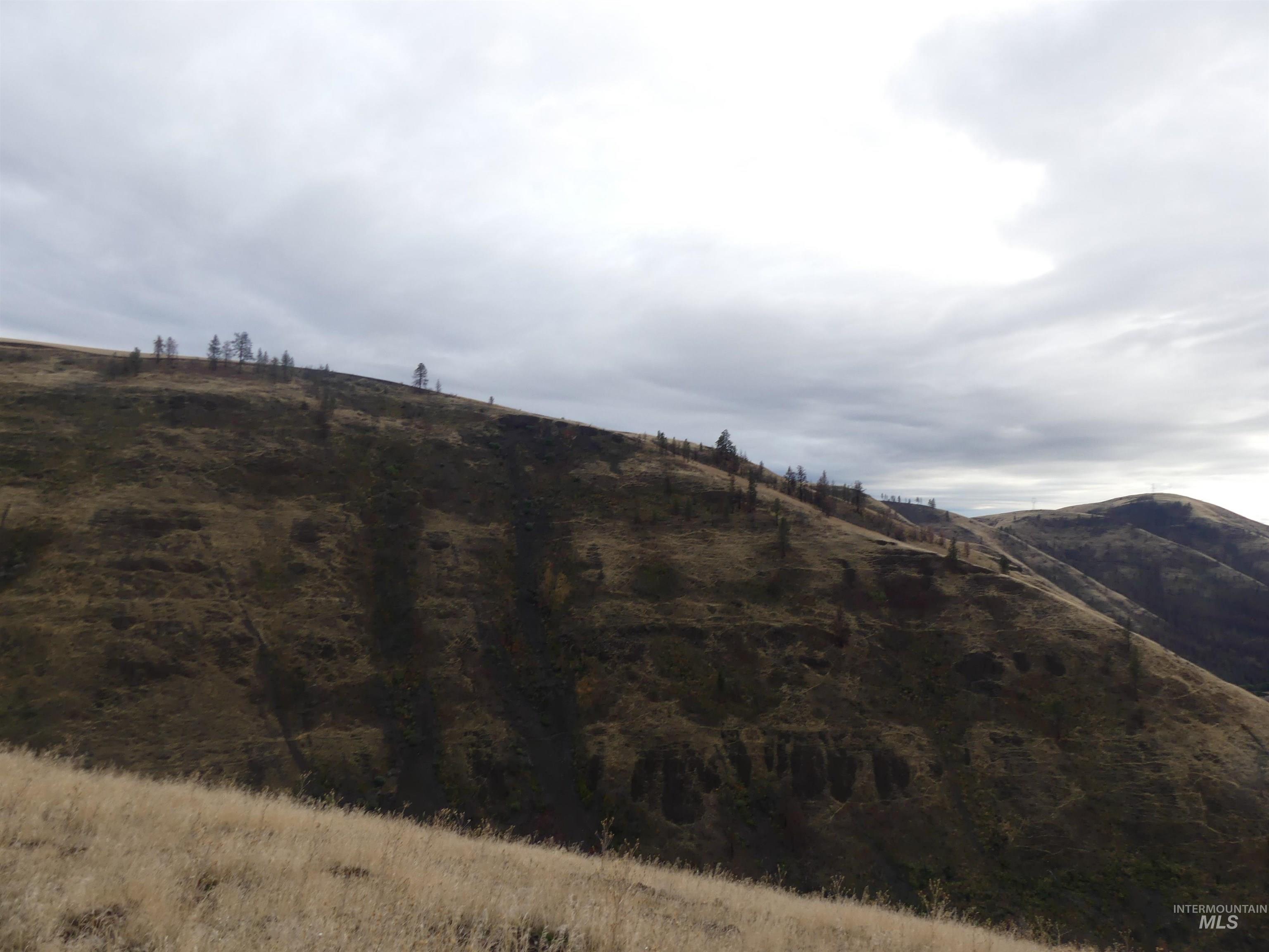 17550 Stoney Point Rd, Juliaetta, Idaho 83535, Land For Sale, Price $140,000,MLS 98964152