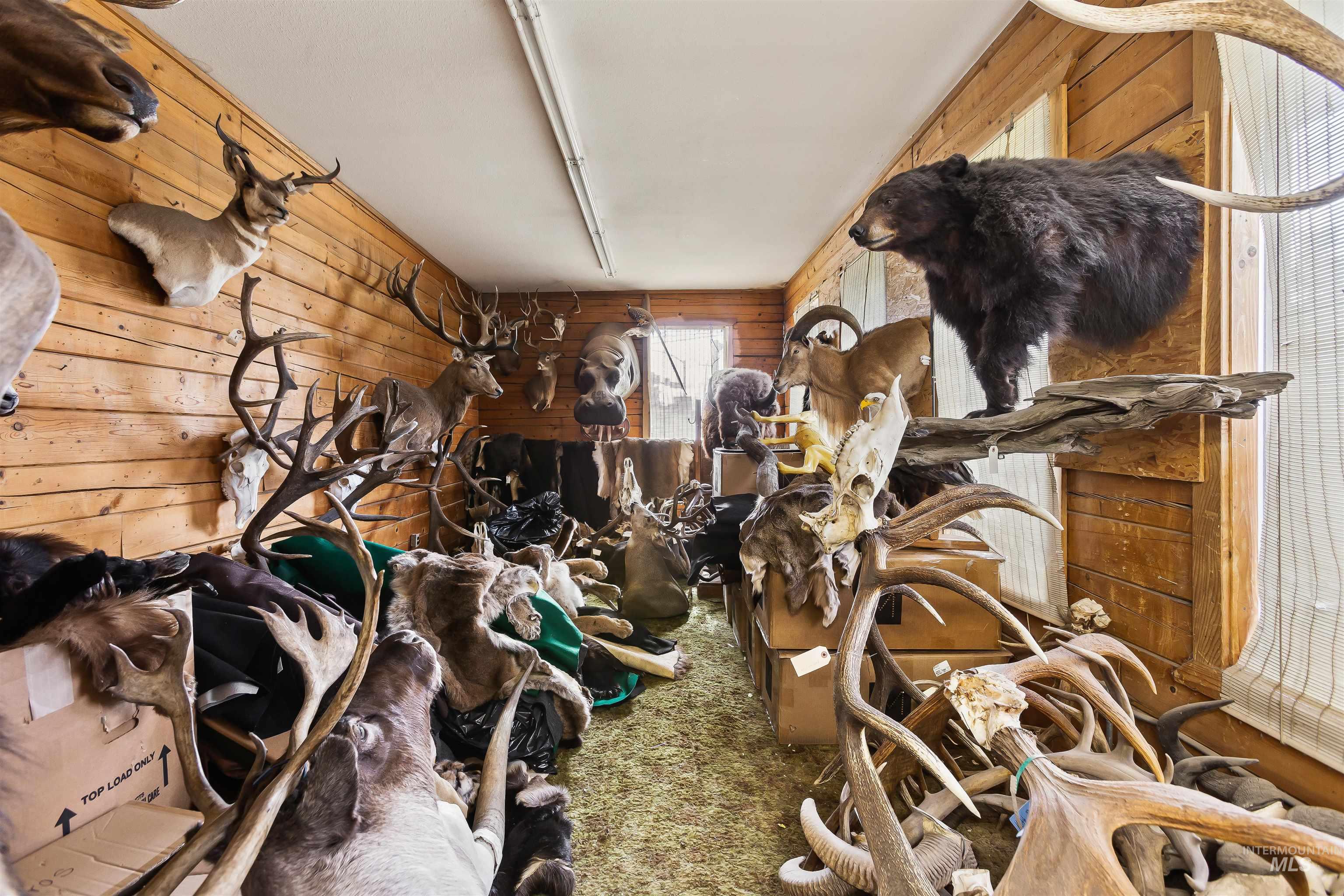 557-559 Thain Rd, Lewiston, Idaho 83501, 3 Bedrooms, Business/Commercial For Sale, Price $339,000,MLS 98964163