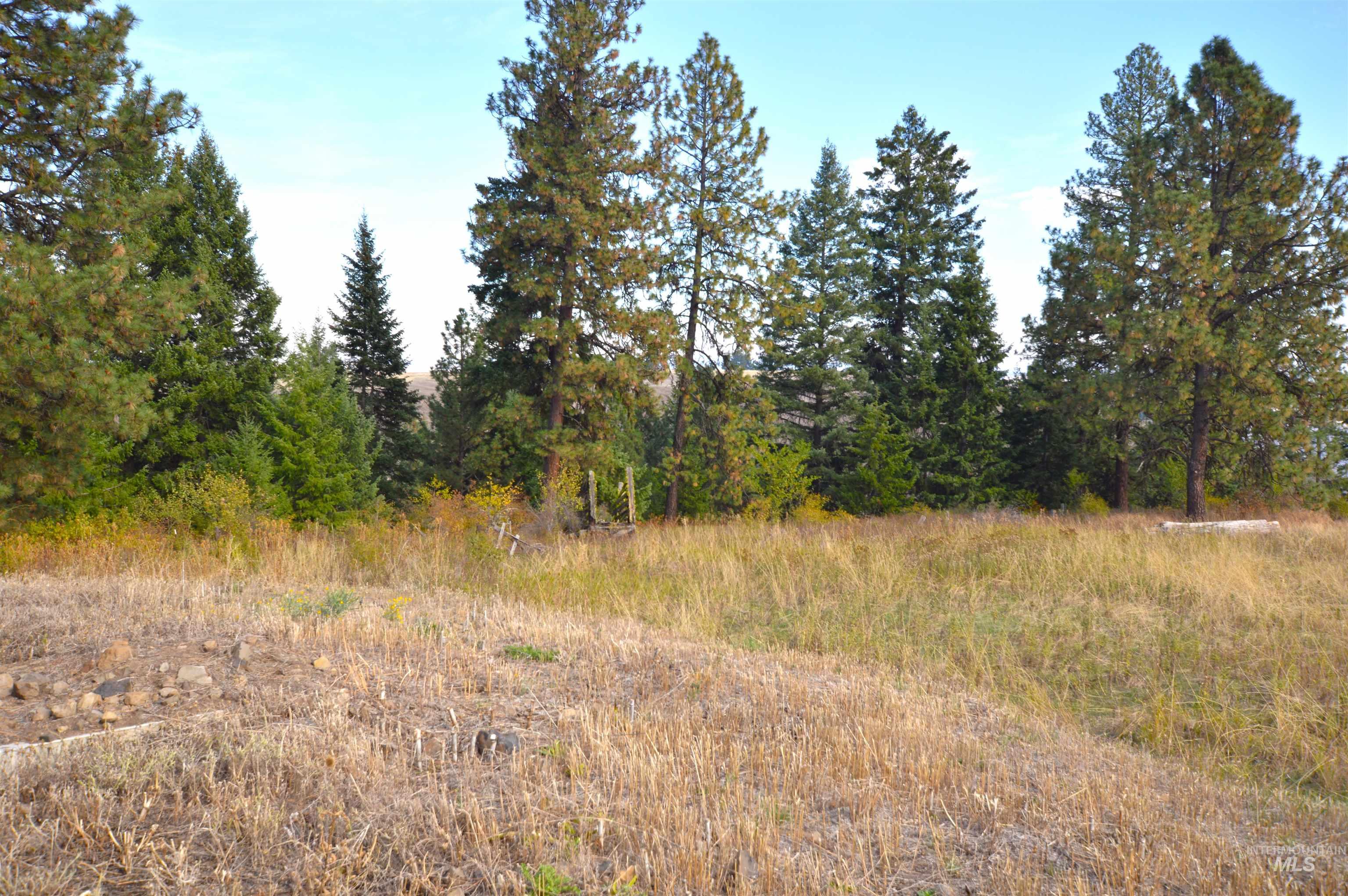 271 Mule Deer, Kamiah, Idaho 83536, 2 Bedrooms, 1 Bathroom, Residential For Sale, Price $579,000,MLS 98964229