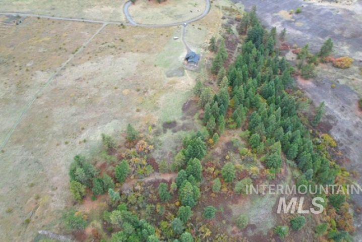 271 Mule Deer, Kamiah, Idaho 83536, 2 Bedrooms, 1 Bathroom, Residential For Sale, Price $579,000,MLS 98964229