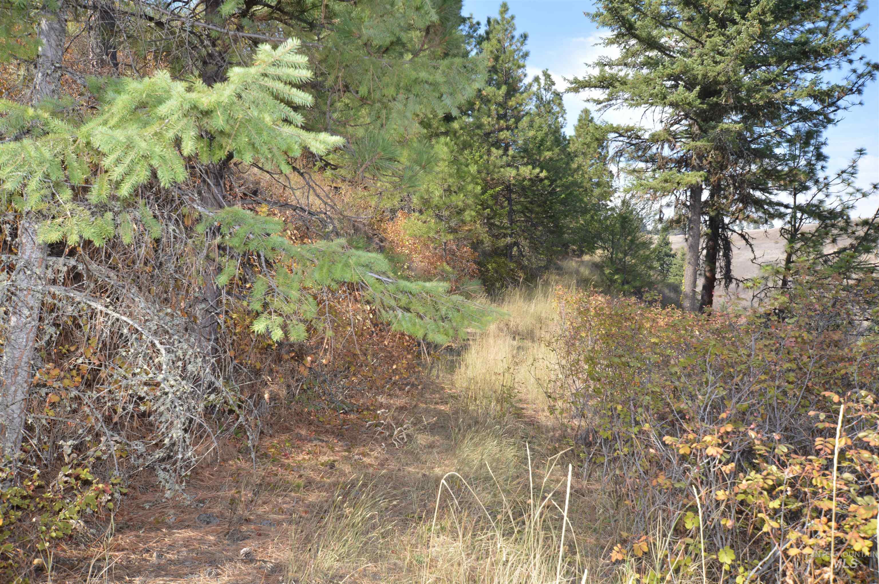 271 Mule Deer, Kamiah, Idaho 83536, 2 Bedrooms, 1 Bathroom, Residential For Sale, Price $579,000,MLS 98964229