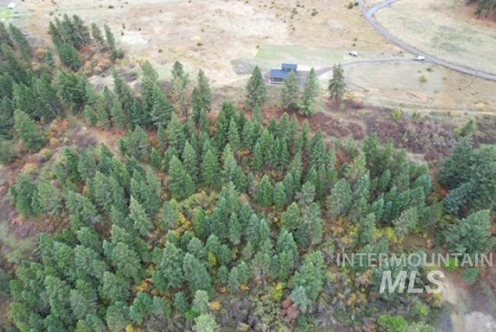 271 Mule Deer, Kamiah, Idaho 83536, 2 Bedrooms, 1 Bathroom, Residential For Sale, Price $579,000,MLS 98964229