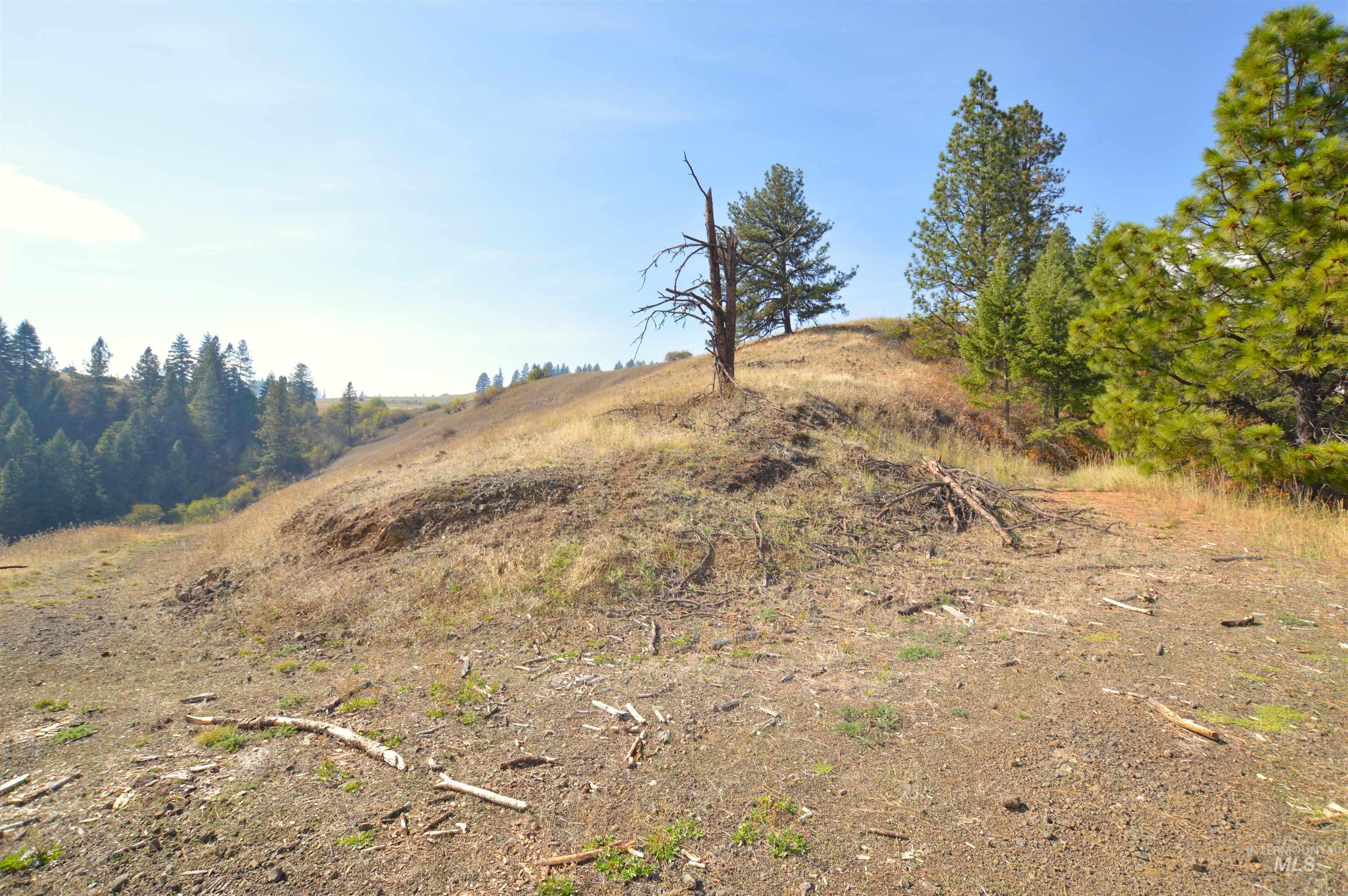 271 Mule Deer, Kamiah, Idaho 83536, 2 Bedrooms, 1 Bathroom, Residential For Sale, Price $579,000,MLS 98964229