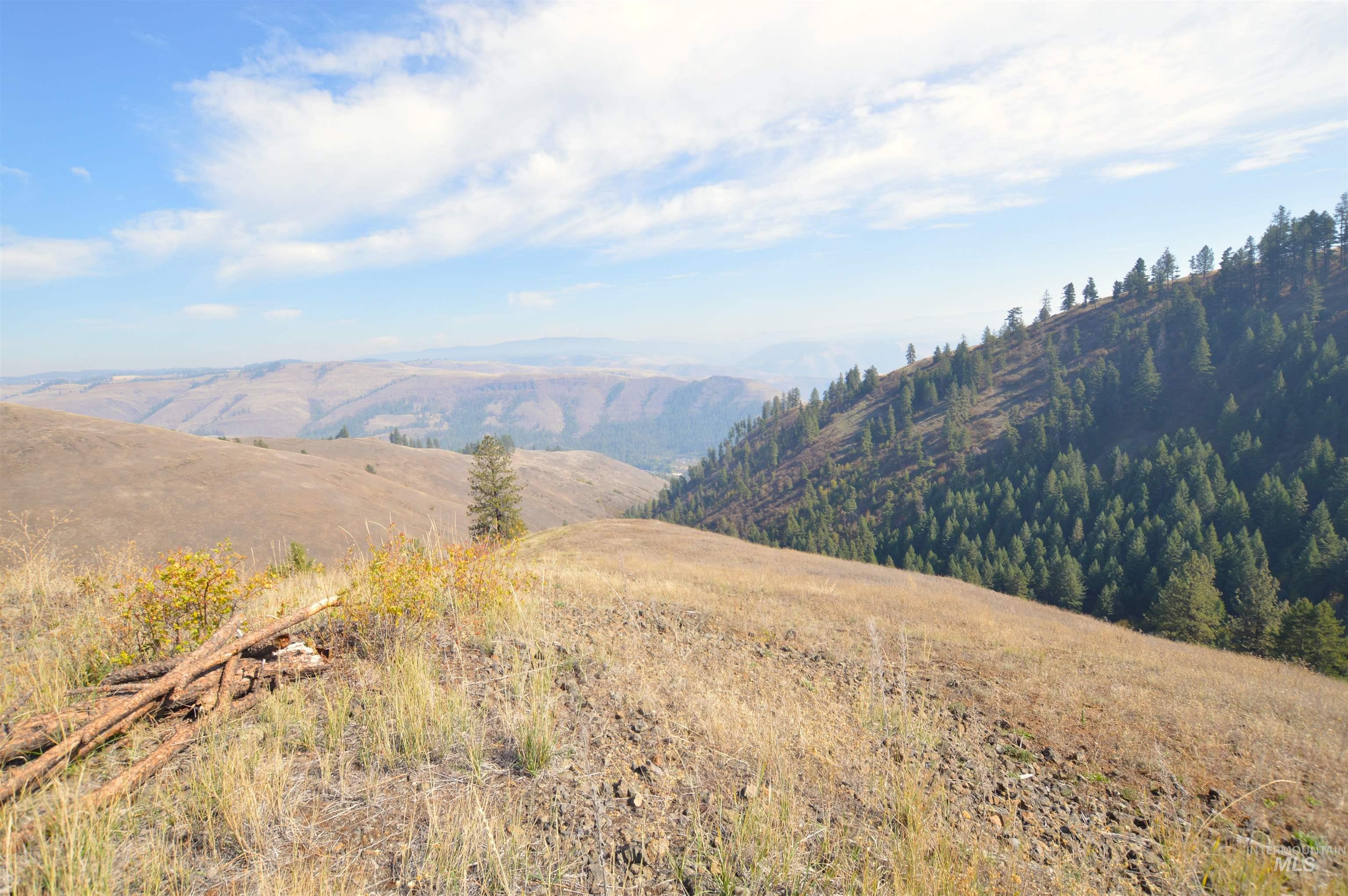 271 Mule Deer, Kamiah, Idaho 83536, 2 Bedrooms, 1 Bathroom, Residential For Sale, Price $579,000,MLS 98964229