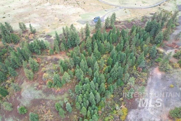 271 Mule Deer, Kamiah, Idaho 83536, 2 Bedrooms, 1 Bathroom, Residential For Sale, Price $579,000,MLS 98964229