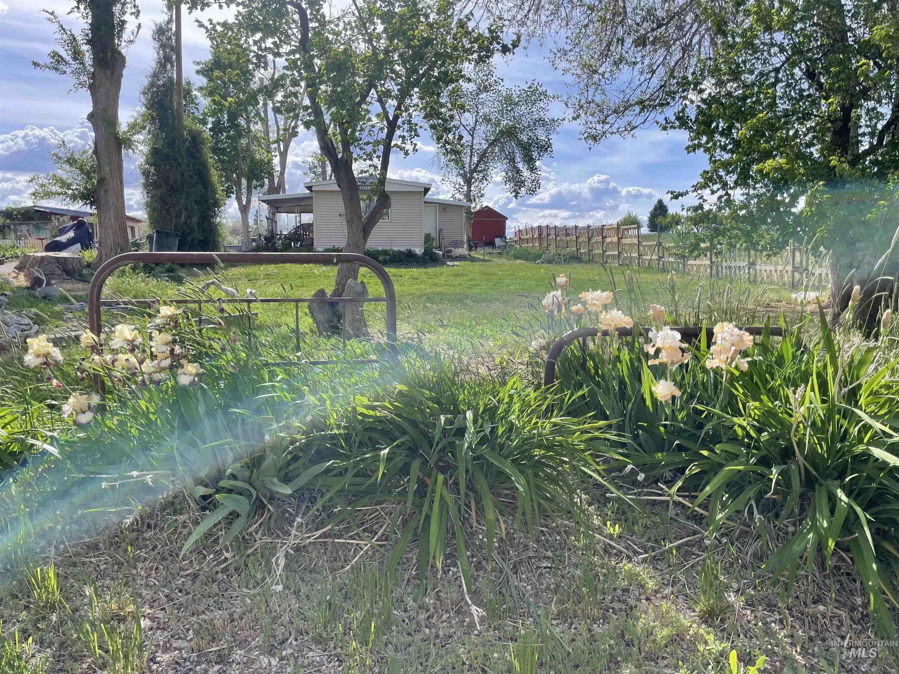 4343 N 1200 E, Buhl, Idaho 83316, Land For Sale, Price $330,000,MLS 98964353