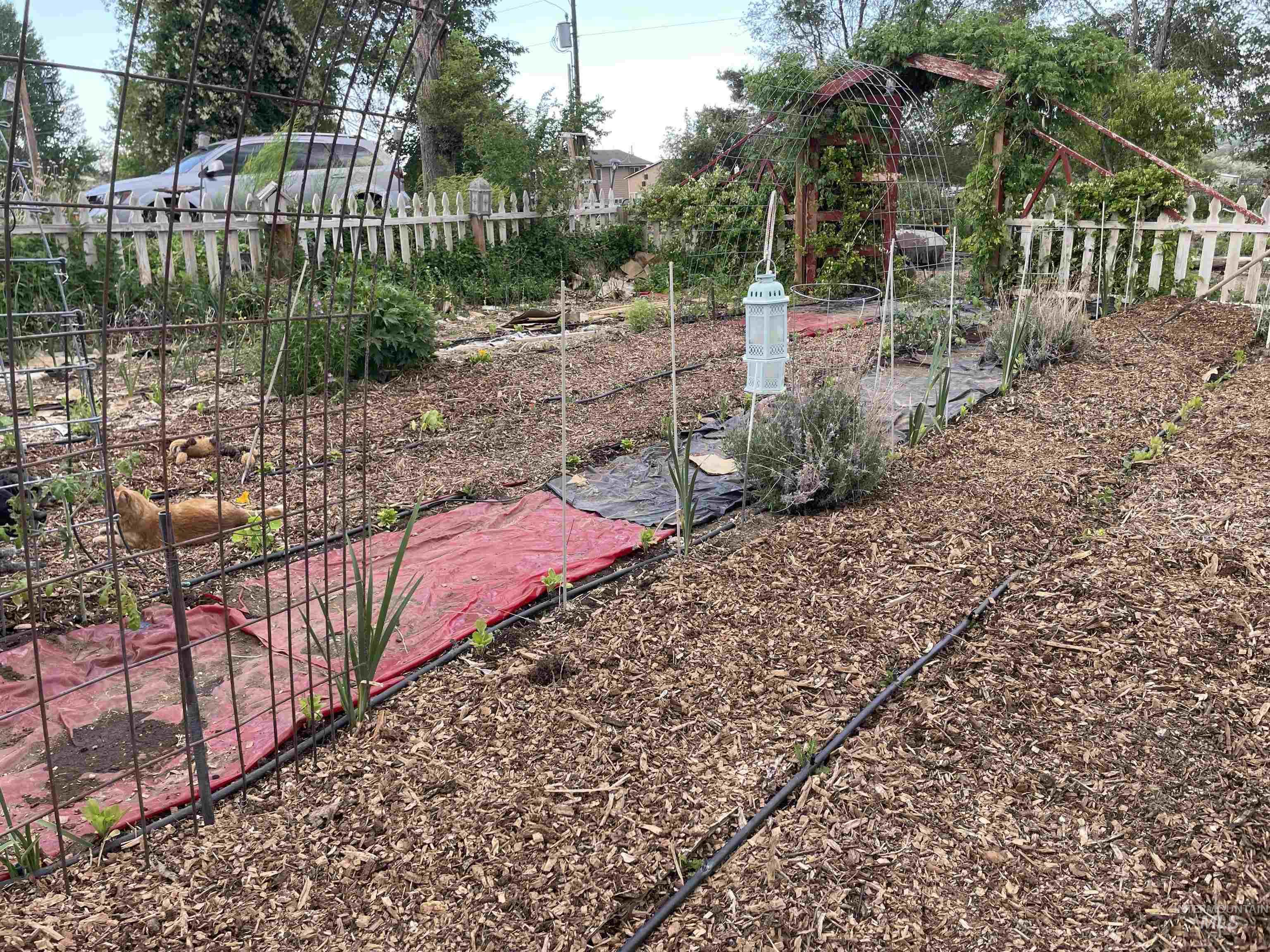 4343 N 1200 E, Buhl, Idaho 83316, Land For Sale, Price $330,000,MLS 98964353