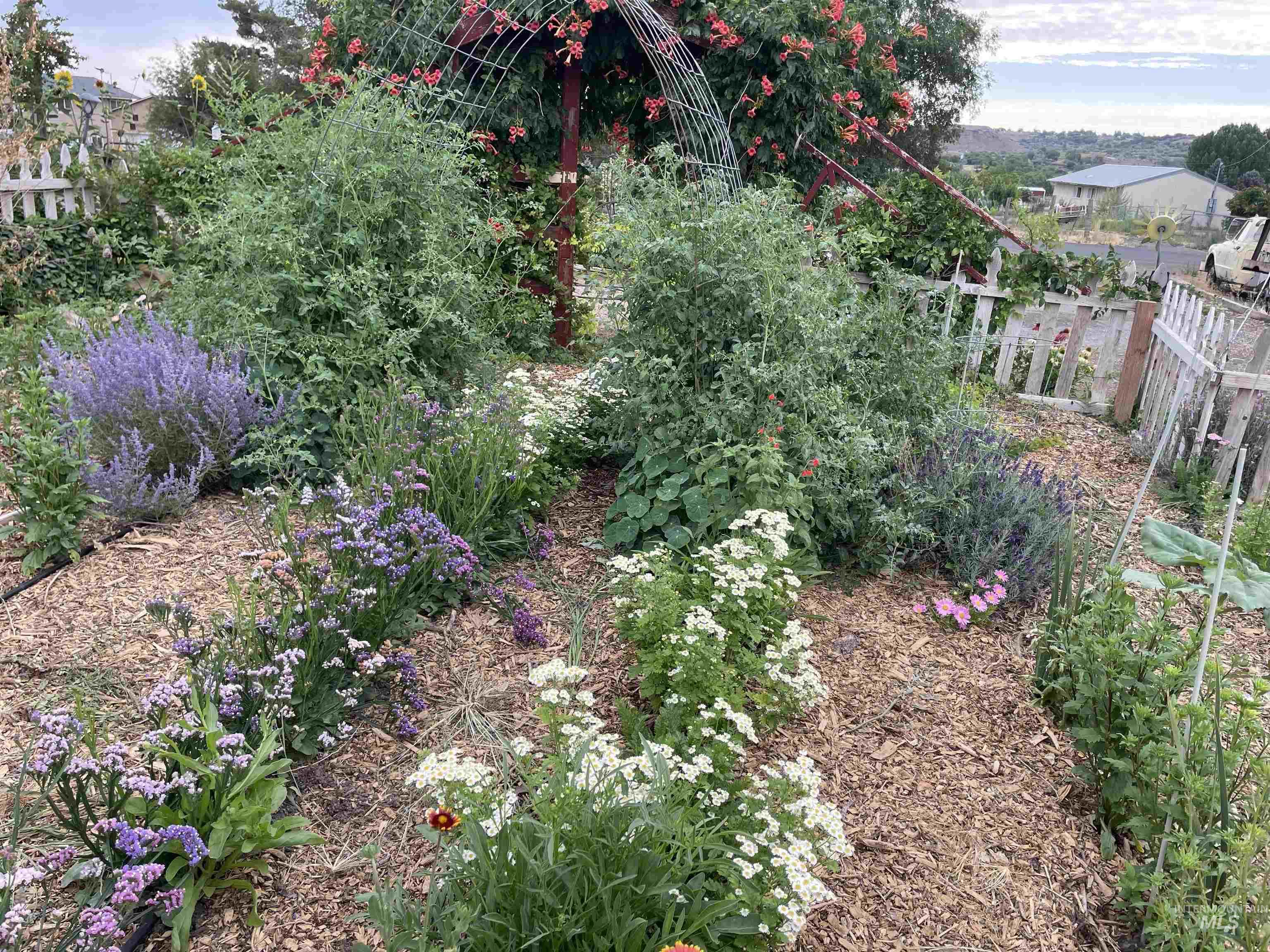 4343 N 1200 E, Buhl, Idaho 83316, Land For Sale, Price $330,000,MLS 98964353