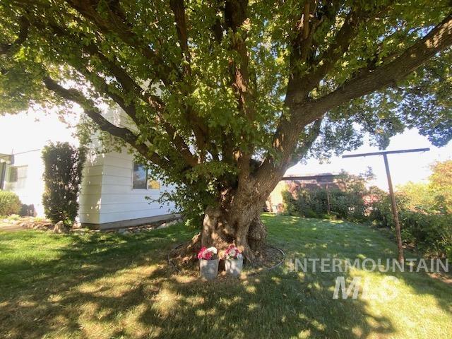 429 30th St., Lewiston, Idaho 83501, 4 Bedrooms, 1 Bathroom, Residential For Sale, Price $345,000,MLS 98964370