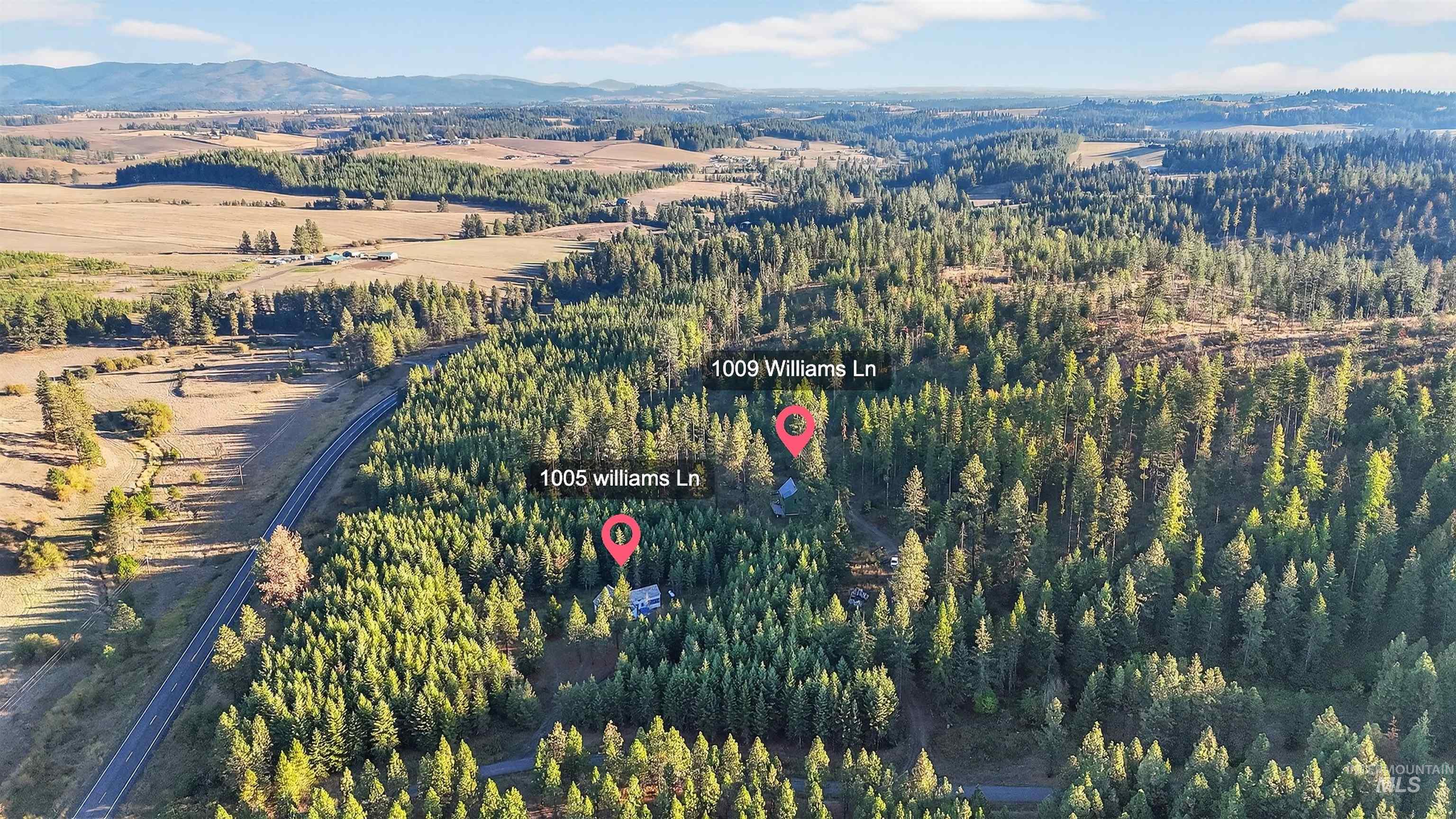 1005/1009 Williams Ln, Deary, Idaho 83823, 2 Bedrooms, 2 Bathrooms, Residential For Sale, Price $980,000,MLS 98964598