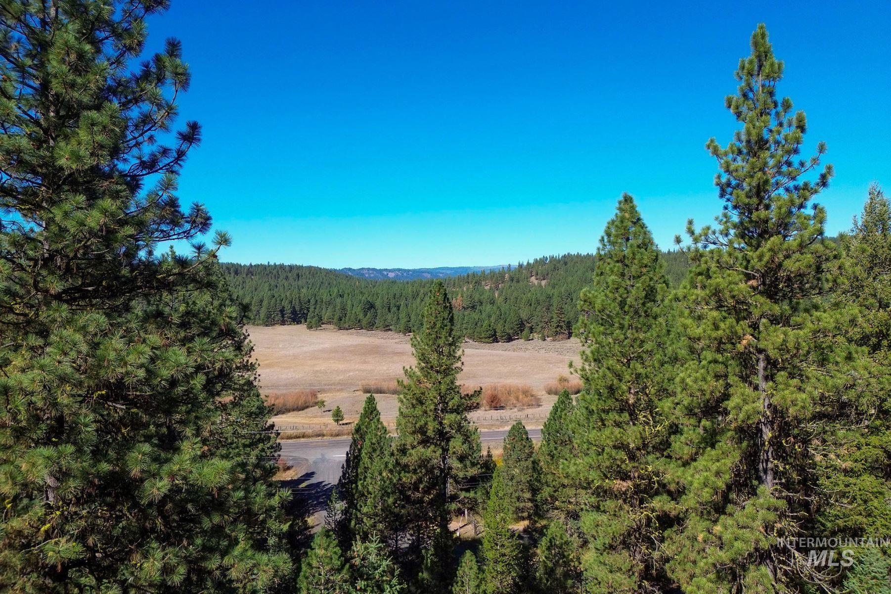 Lot 22 Rim Road, New Meadows, Idaho 83654, Land For Sale, Price $259,000, 98964600