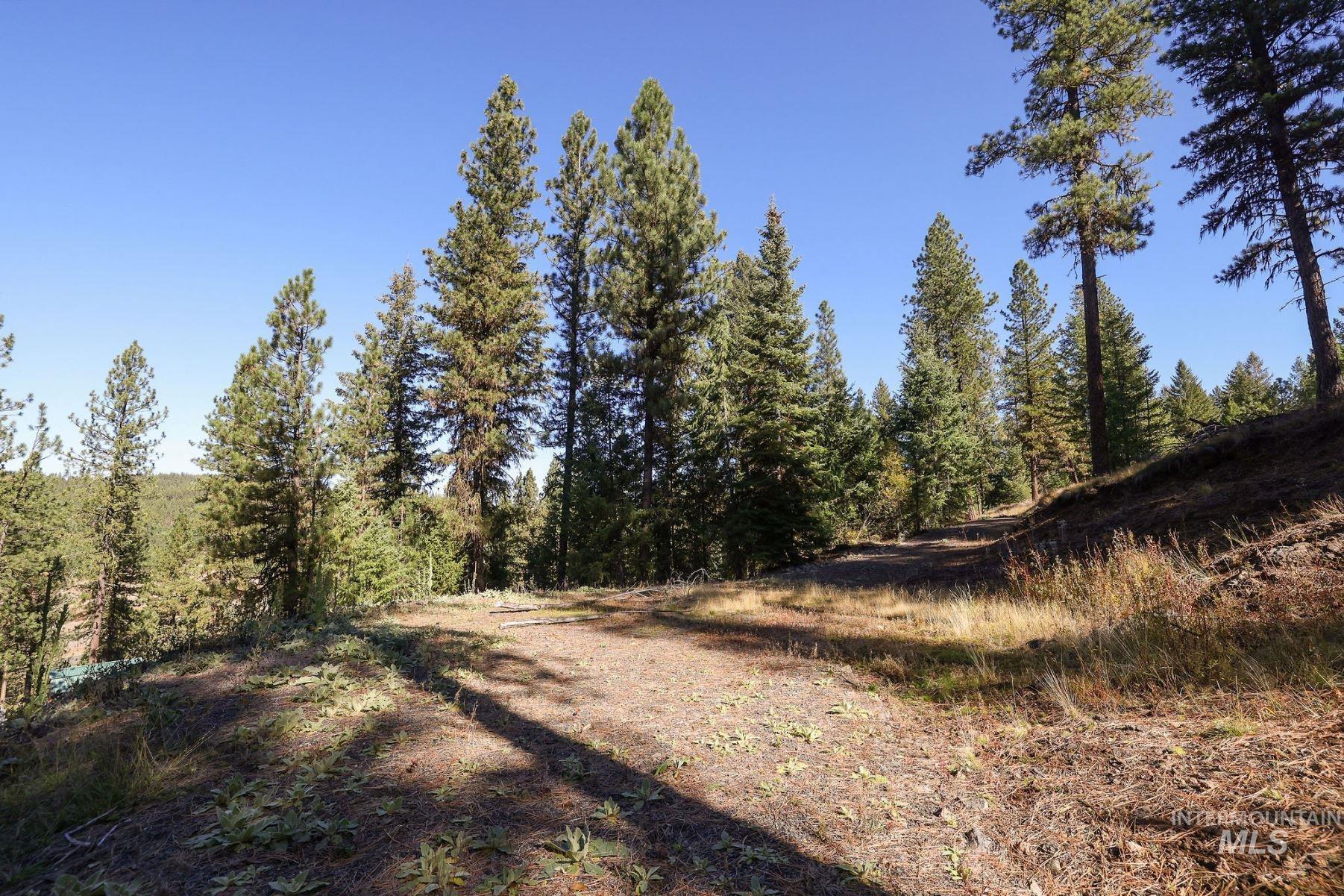 Lot 22 Rim Road, New Meadows, Idaho 83654, Land For Sale, Price $259,000, 98964600