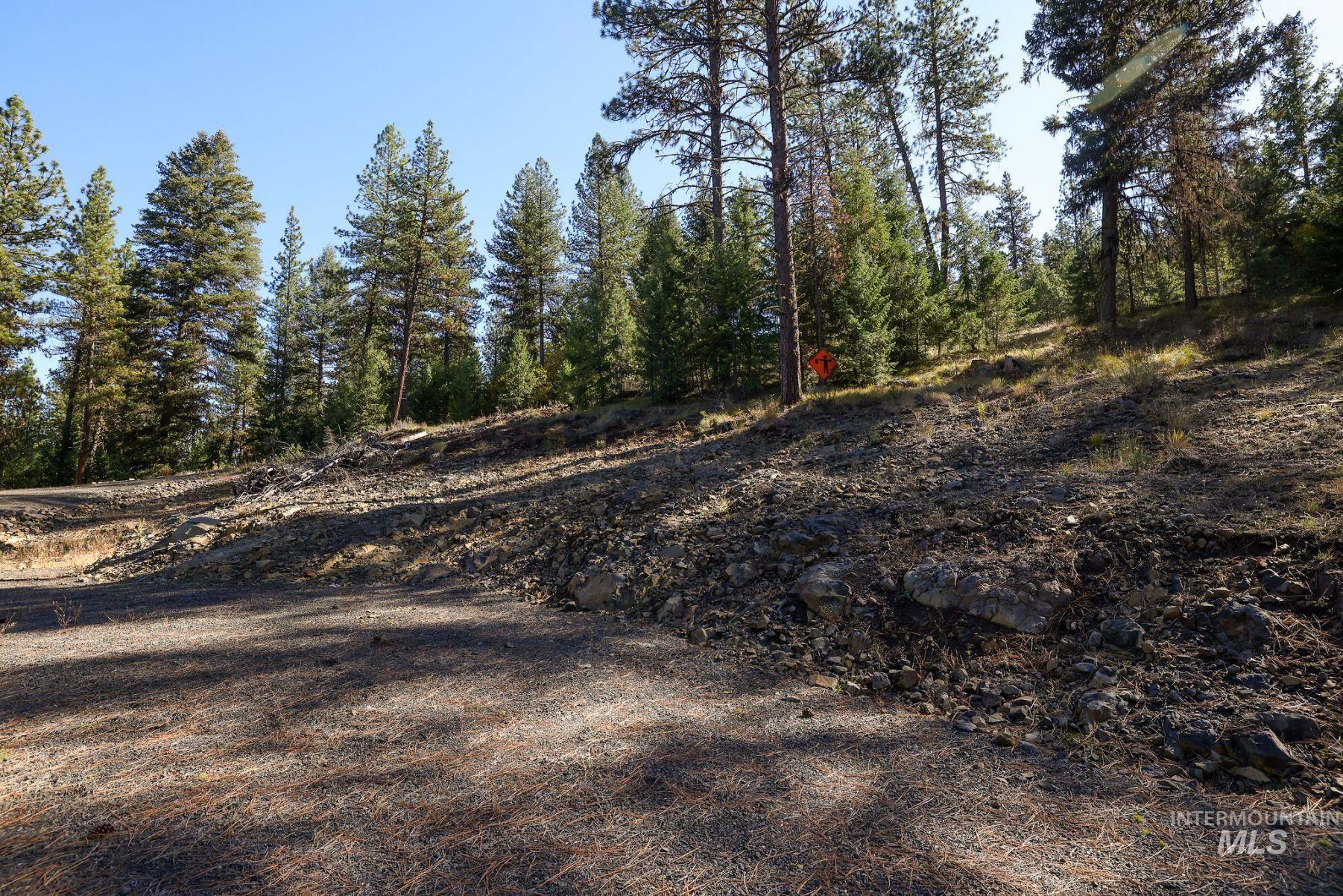 Lot 22 Rim Road, New Meadows, Idaho 83654, Land For Sale, Price $259,000, 98964600