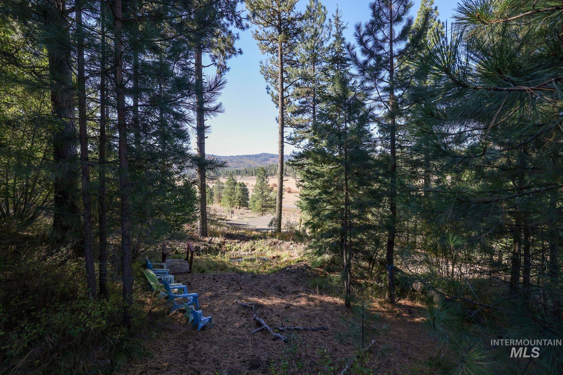 Lot 22 Rim Road, New Meadows, Idaho 83654, Land For Sale, Price $249,900,MLS 98964600