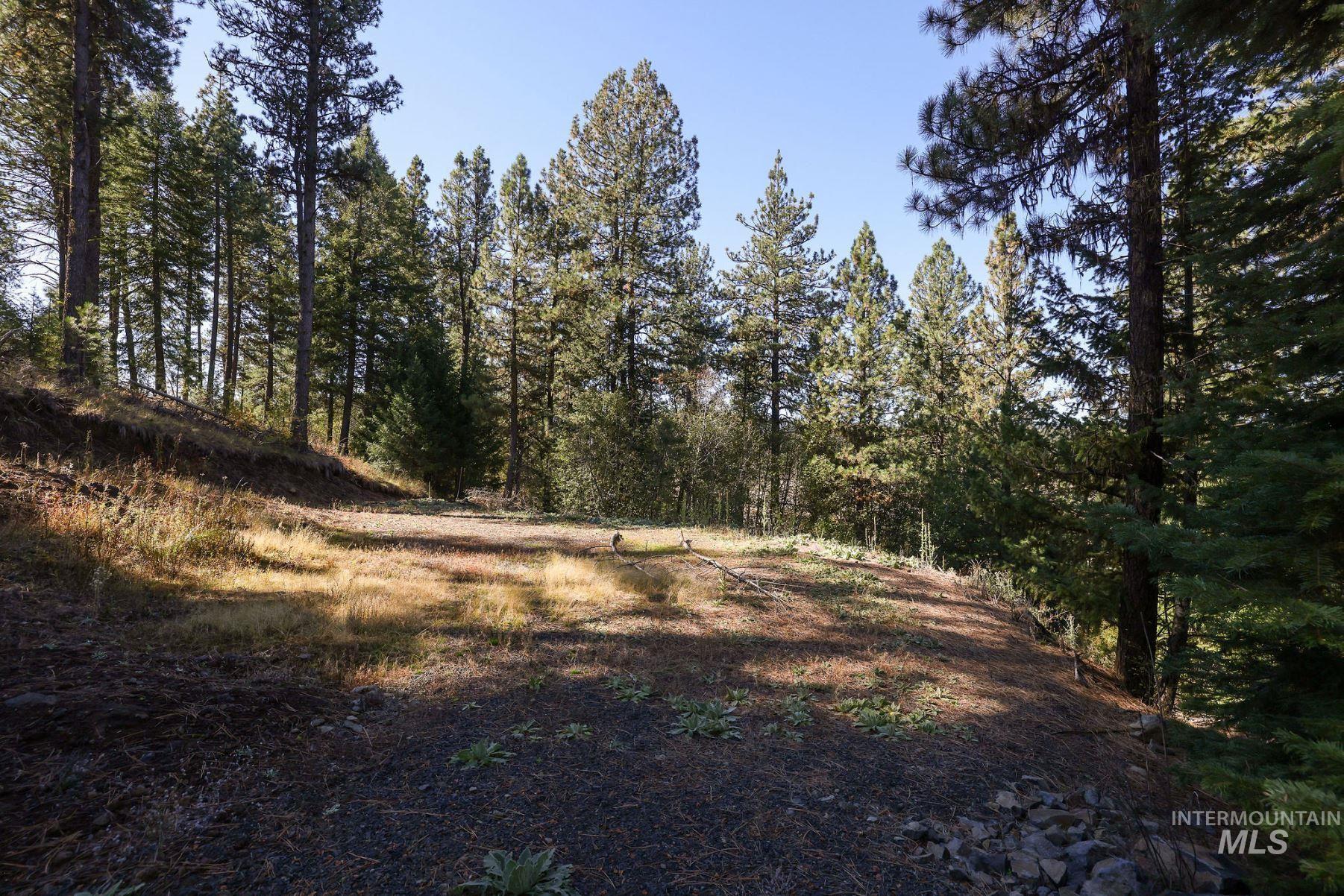 Lot 22 Rim Road, New Meadows, Idaho 83654, Land For Sale, Price $259,000, 98964600