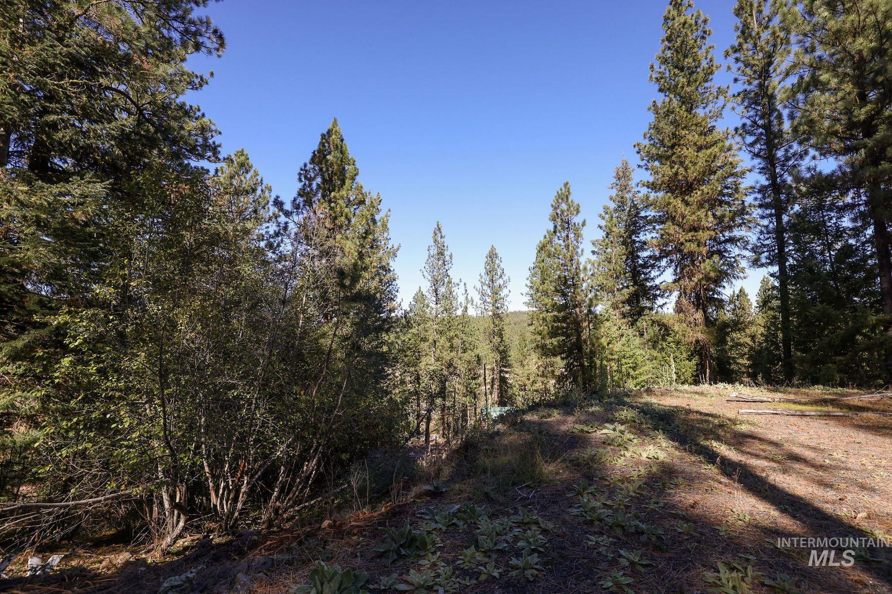 Lot 22 Rim Road, New Meadows, Idaho 83654, Land For Sale, Price $259,000, 98964600