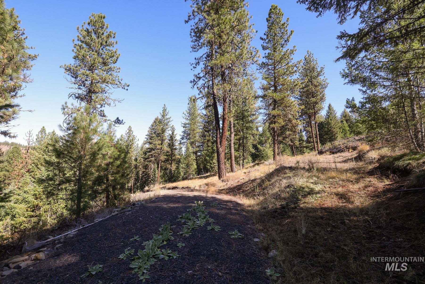 Lot 22 Rim Road, New Meadows, Idaho 83654, Land For Sale, Price $259,000, 98964600