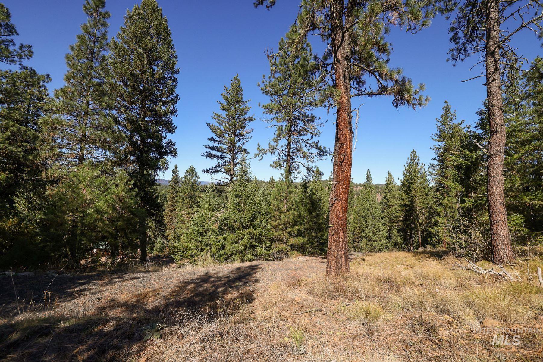 Lot 22 Rim Road, New Meadows, Idaho 83654, Land For Sale, Price $259,000, 98964600