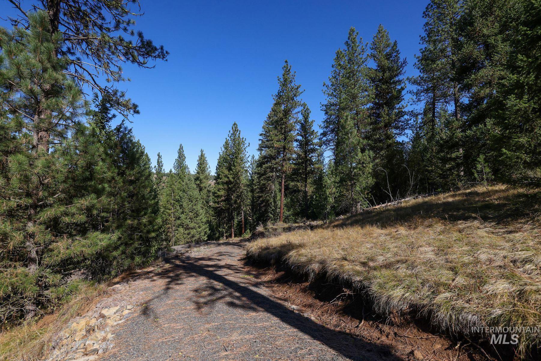 Lot 22 Rim Road, New Meadows, Idaho 83654, Land For Sale, Price $259,000, 98964600