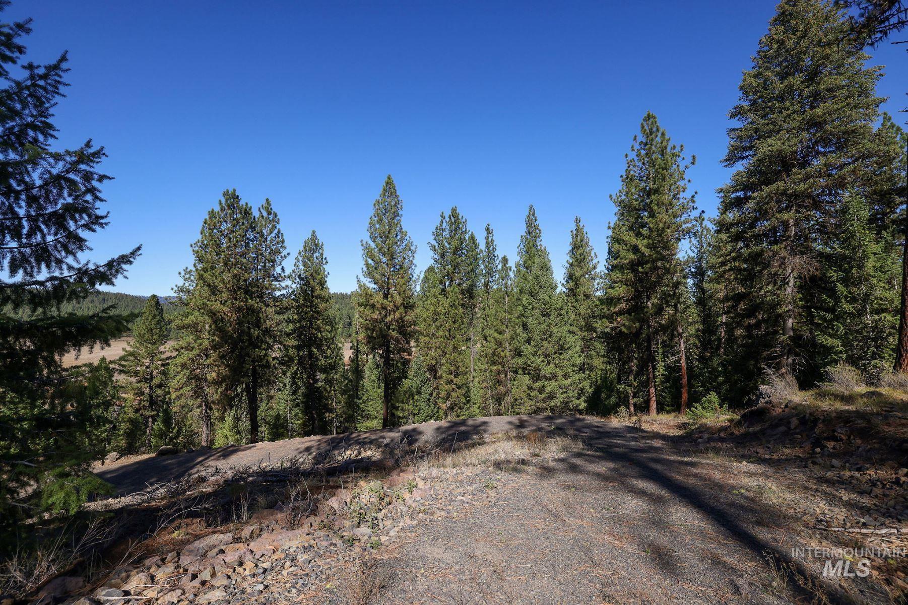 Lot 22 Rim Road, New Meadows, Idaho 83654, Land For Sale, Price $259,000, 98964600