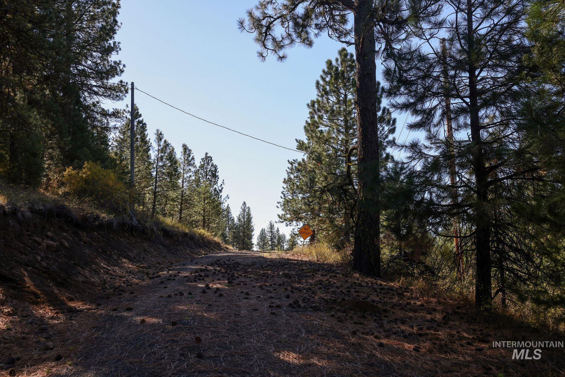 Lot 22 Rim Road, New Meadows, Idaho 83654, Land For Sale, Price $259,000, 98964600