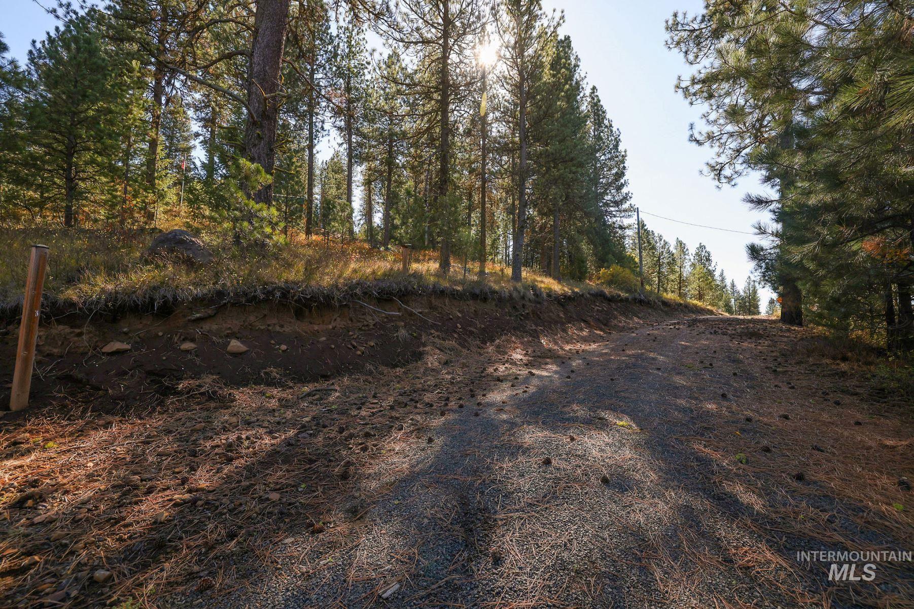 Lot 22 Rim Road, New Meadows, Idaho 83654, Land For Sale, Price $259,000, 98964600