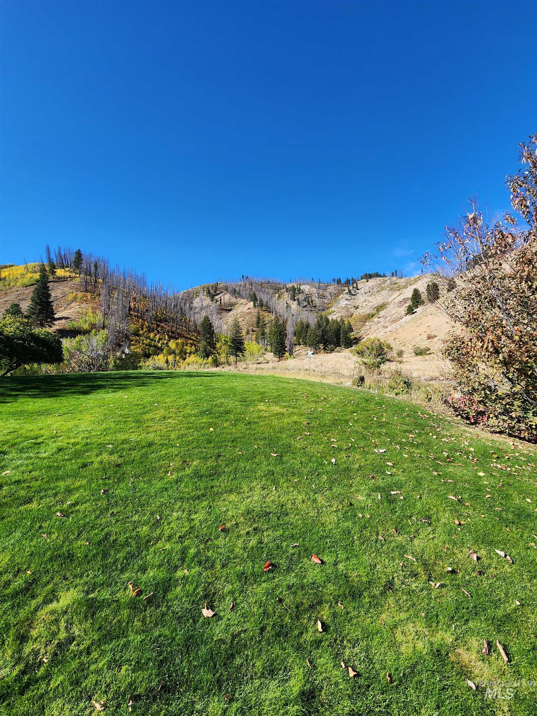 483 N Alpine Circle, Pine, Idaho 83647, 4 Bedrooms, 3 Bathrooms, Residential For Sale, Price $1,200,000,MLS 98964626