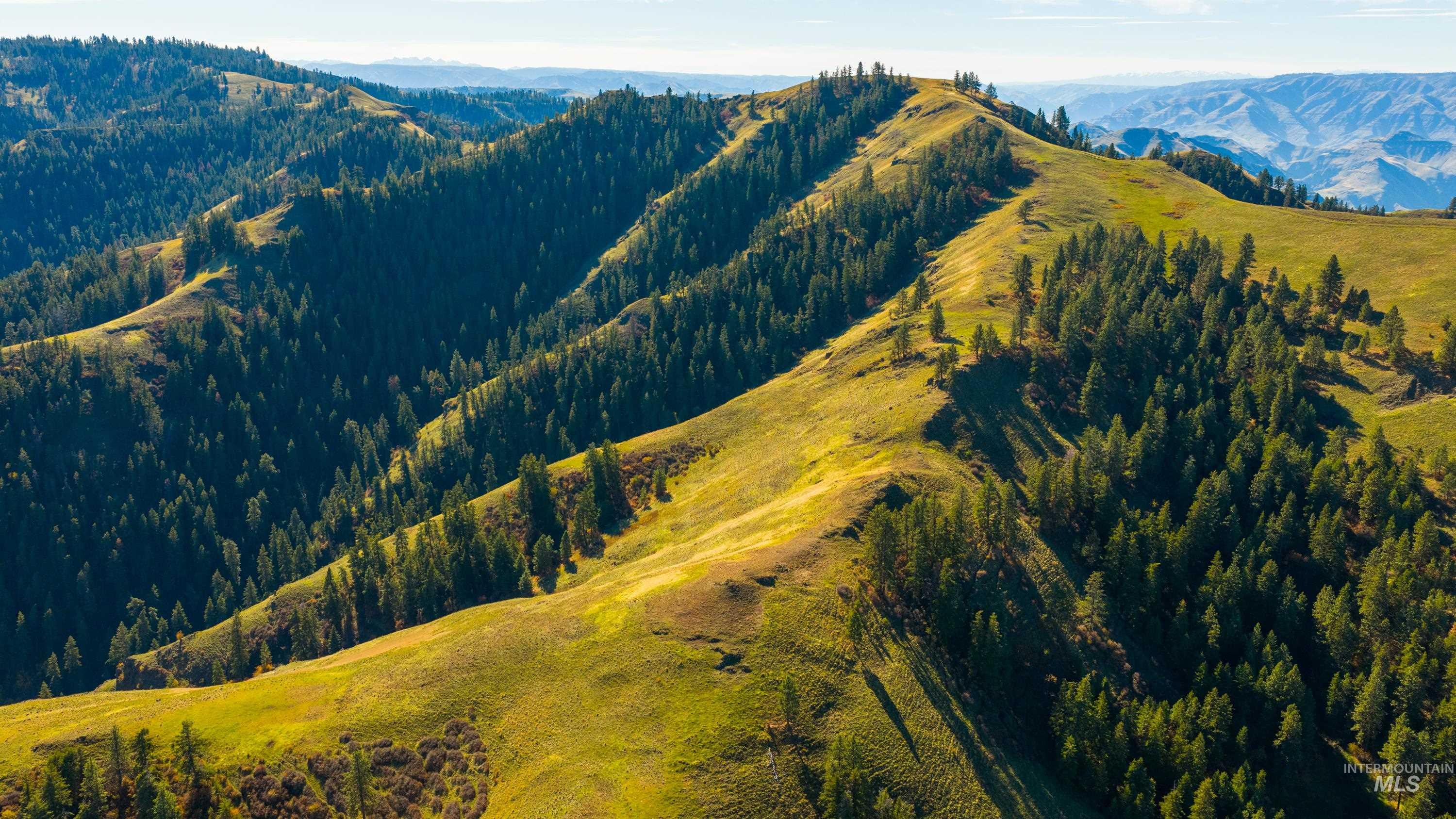 TBD TBD, CottonWood, Idaho 83522, 2 Bedrooms, 2 Bathrooms, Farm & Ranch For Sale, Price $33,000,000,MLS 98964662