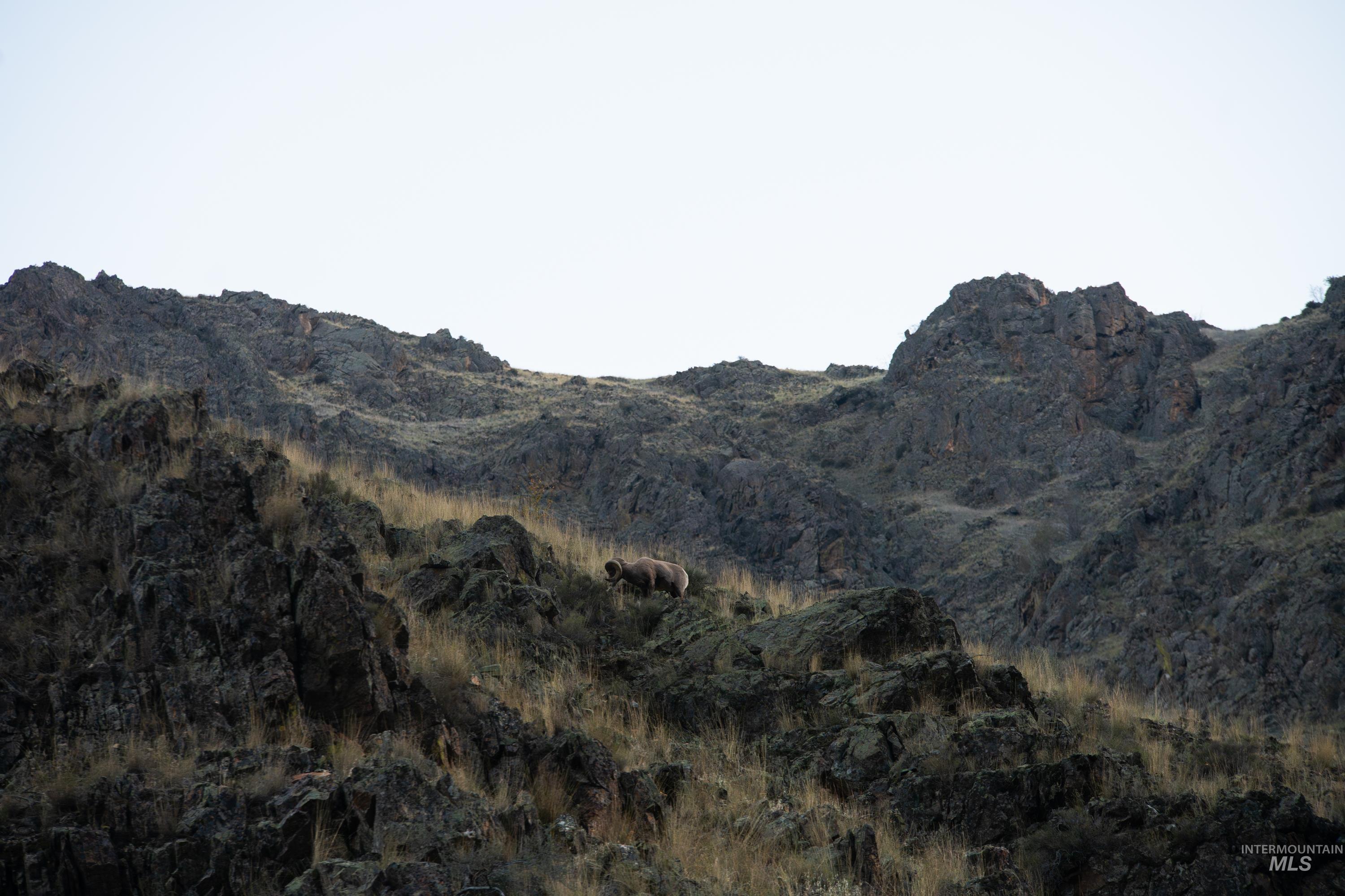 TBD TBD, CottonWood, Idaho 83522, 2 Bedrooms, 2 Bathrooms, Farm & Ranch For Sale, Price $33,000,000,MLS 98964662