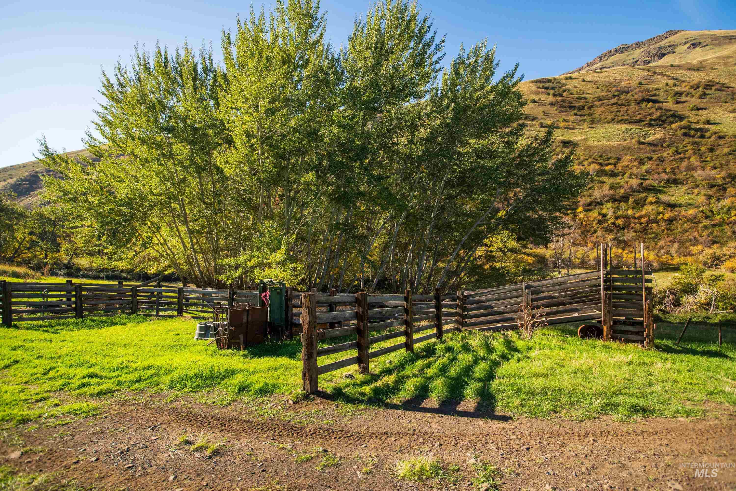TBD TBD, CottonWood, Idaho 83522, 2 Bedrooms, 2 Bathrooms, Farm & Ranch For Sale, Price $33,000,000,MLS 98964662