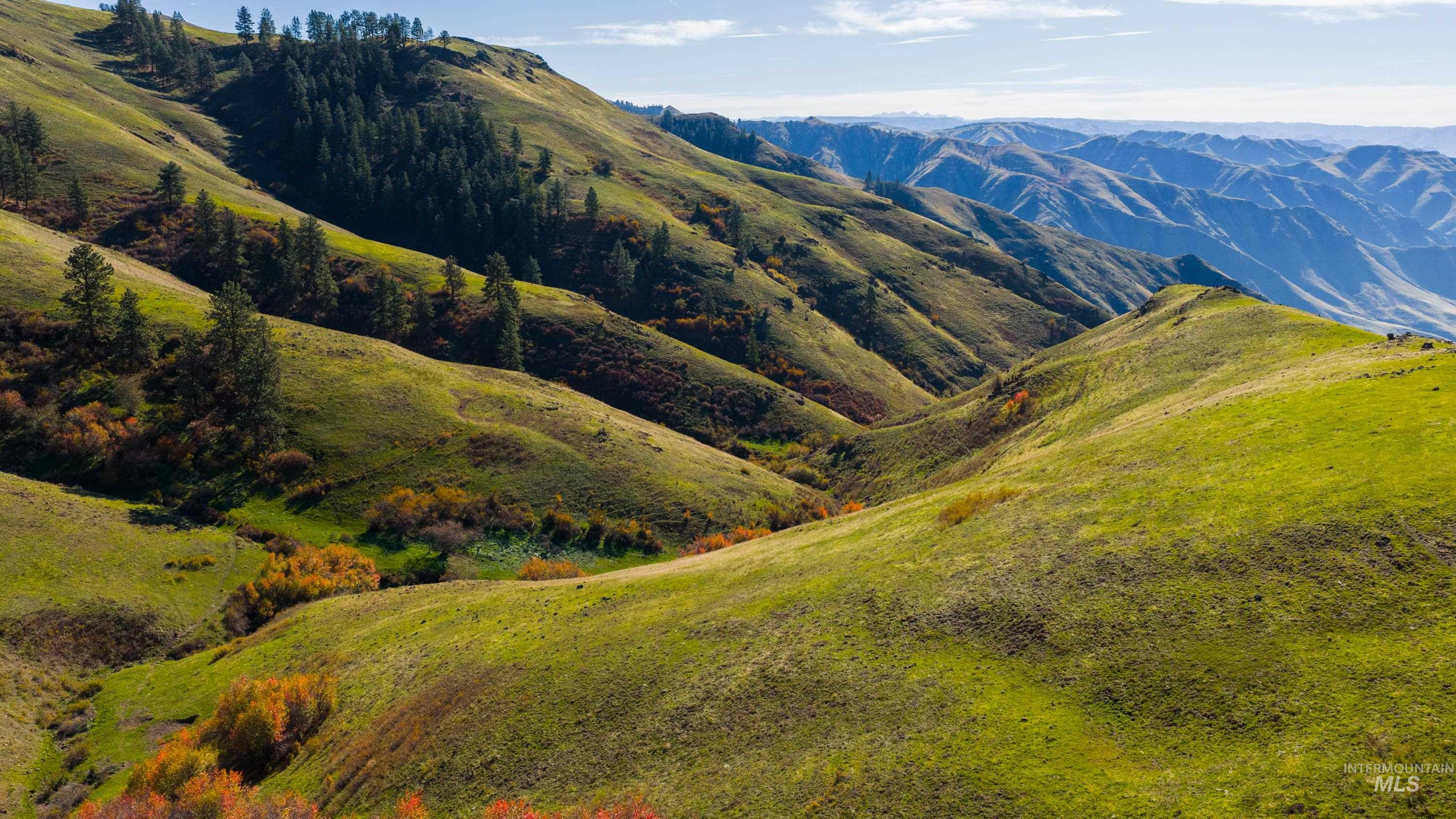 TBD TBD, CottonWood, Idaho 83522, 2 Bedrooms, 2 Bathrooms, Farm & Ranch For Sale, Price $33,000,000,MLS 98964662