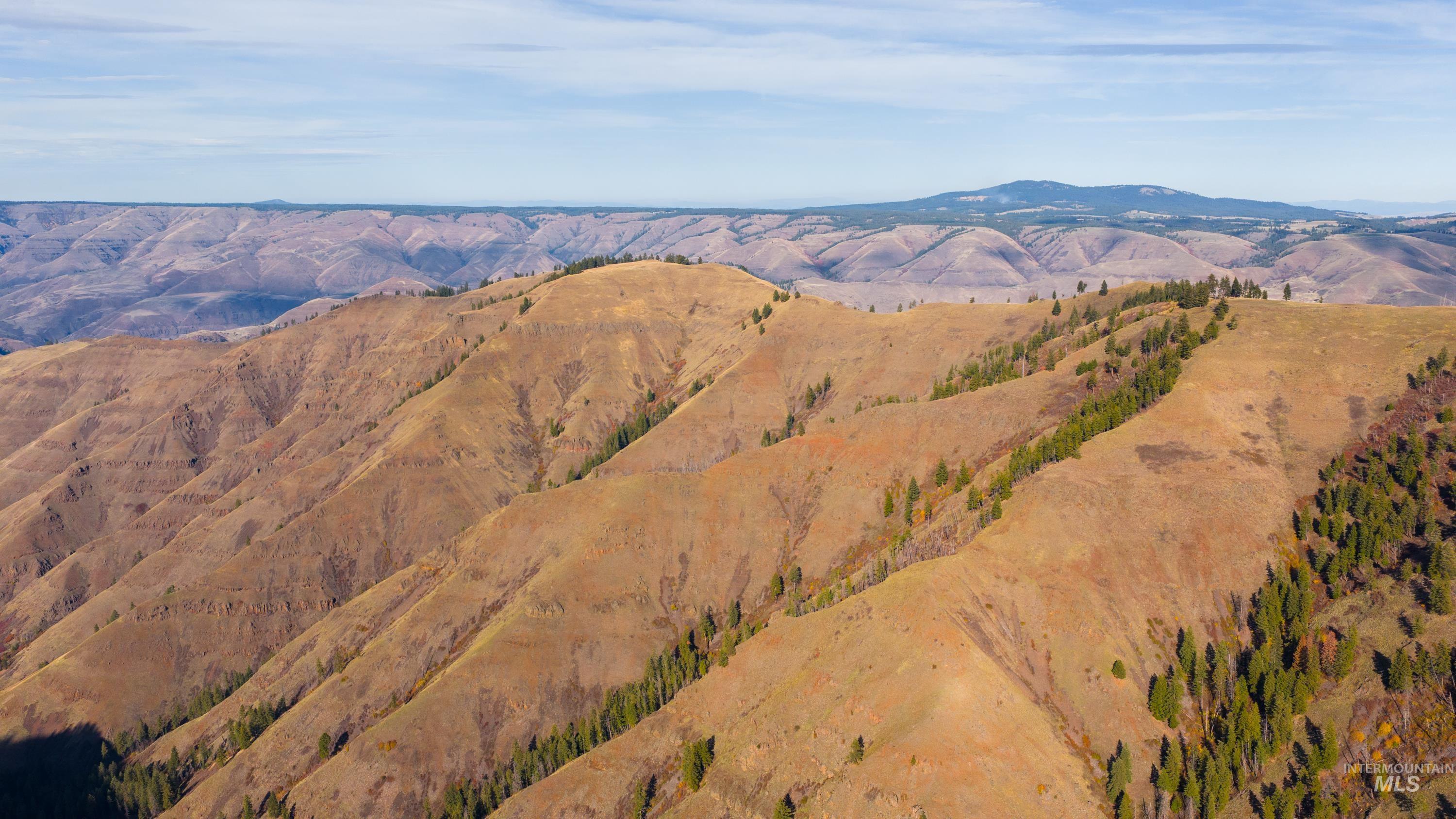 TBD TBD, CottonWood, Idaho 83522, 2 Bedrooms, 2 Bathrooms, Farm & Ranch For Sale, Price $33,000,000,MLS 98964662