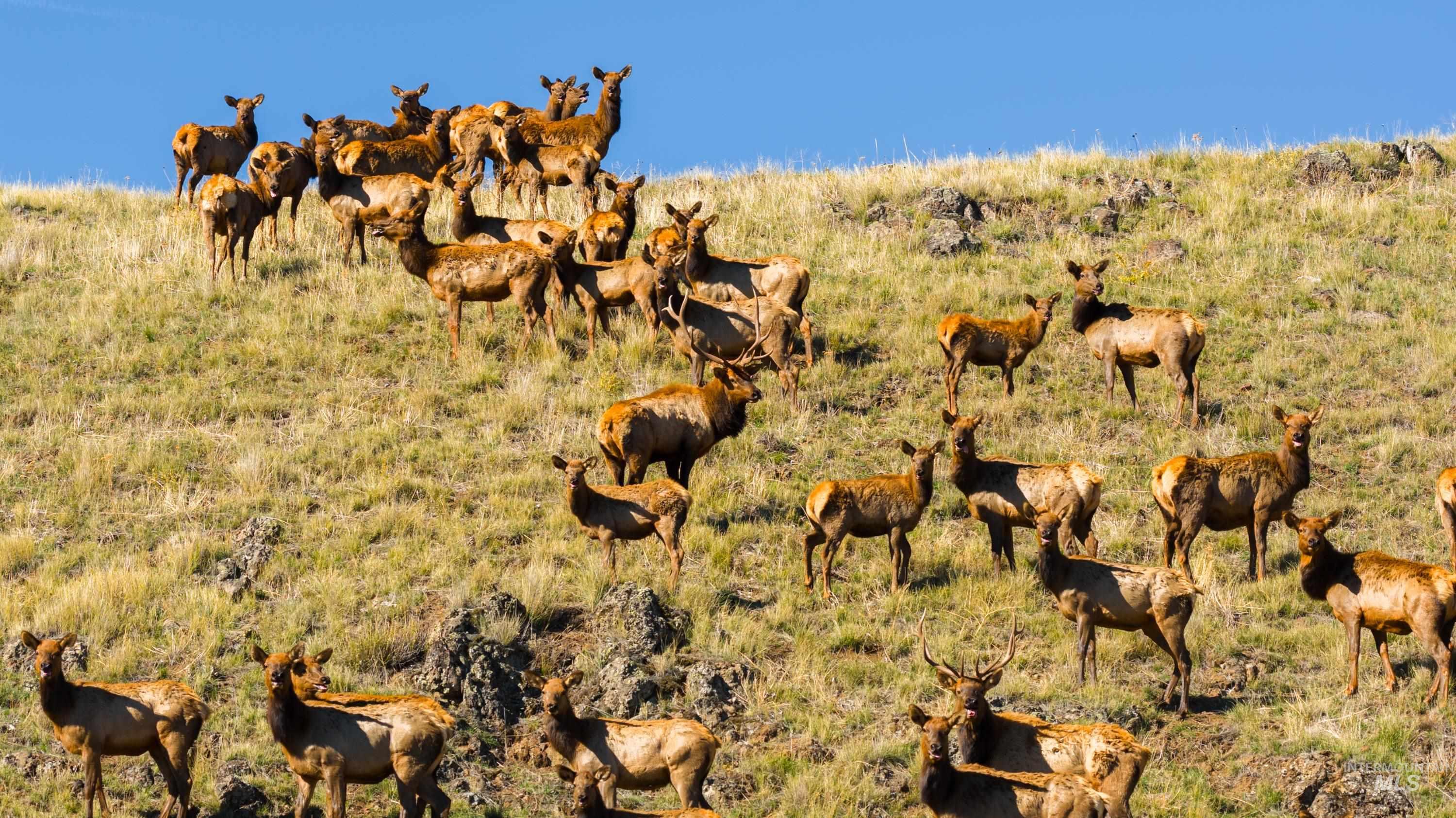 TBD TBD, CottonWood, Idaho 83522, 2 Bedrooms, 2 Bathrooms, Farm & Ranch For Sale, Price $33,000,000,MLS 98964662