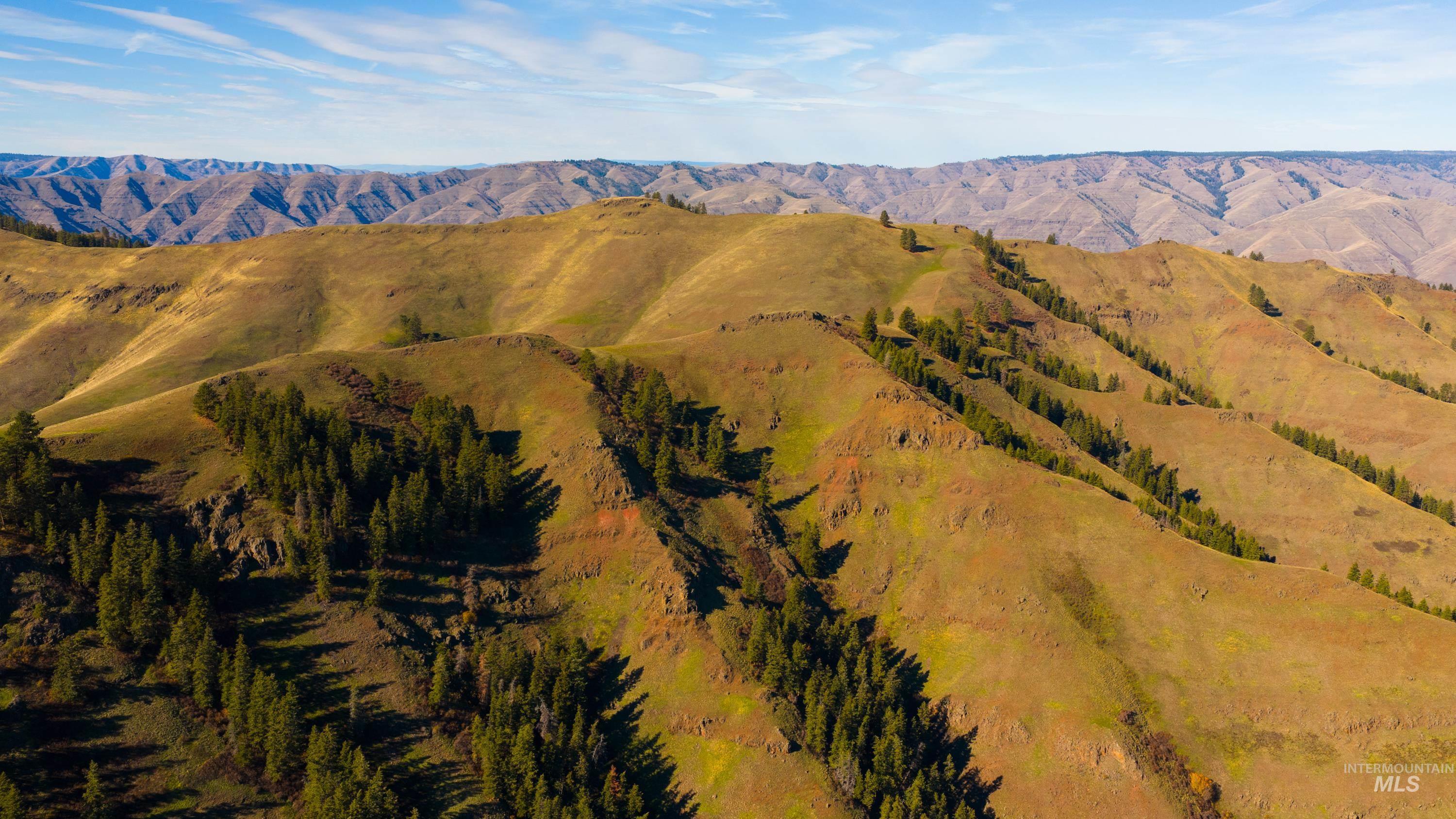 TBD TBD, CottonWood, Idaho 83522, 2 Bedrooms, 2 Bathrooms, Farm & Ranch For Sale, Price $33,000,000,MLS 98964662