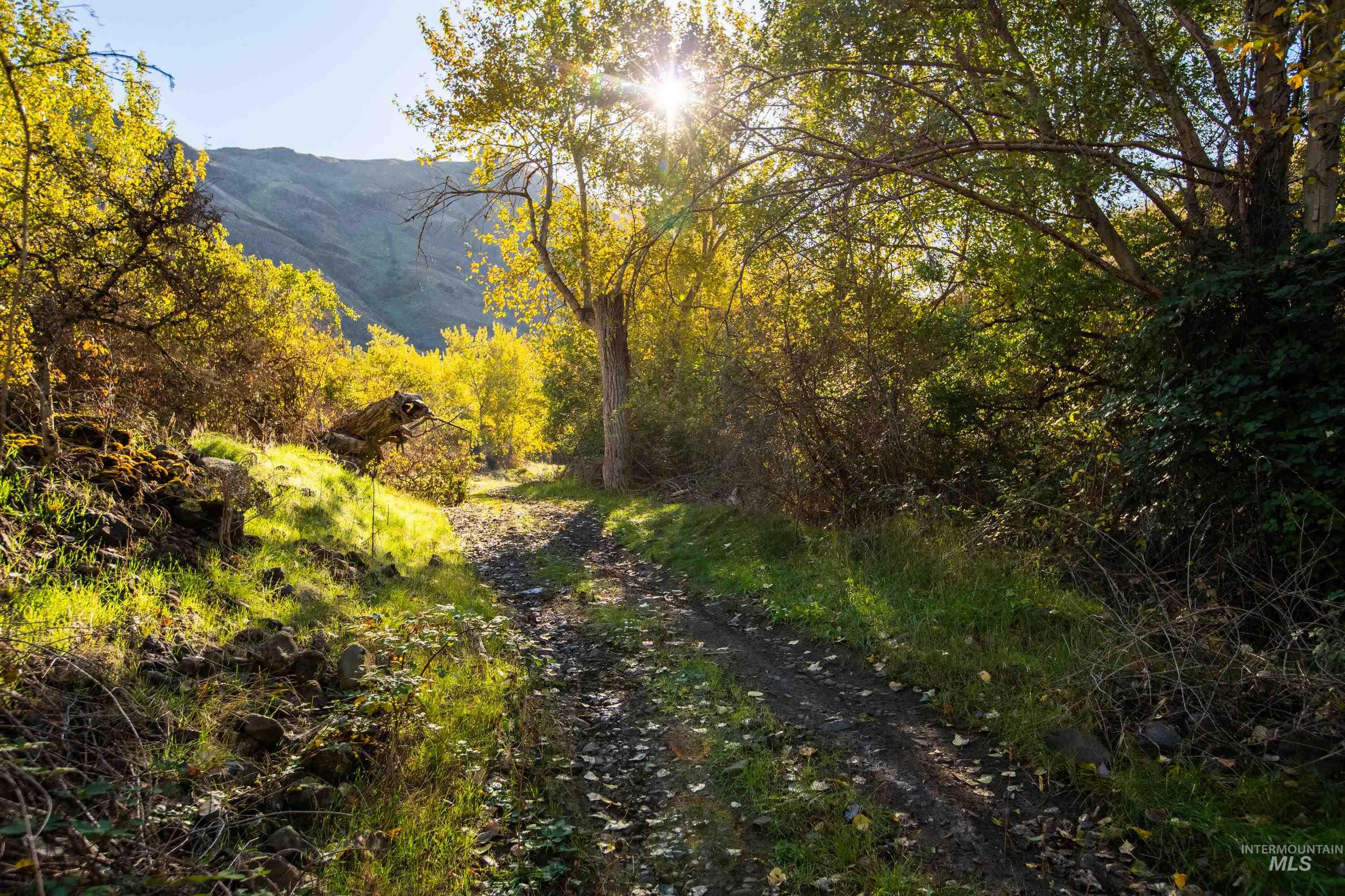 TBD TBD, CottonWood, Idaho 83522, 2 Bedrooms, 2 Bathrooms, Farm & Ranch For Sale, Price $33,000,000,MLS 98964662