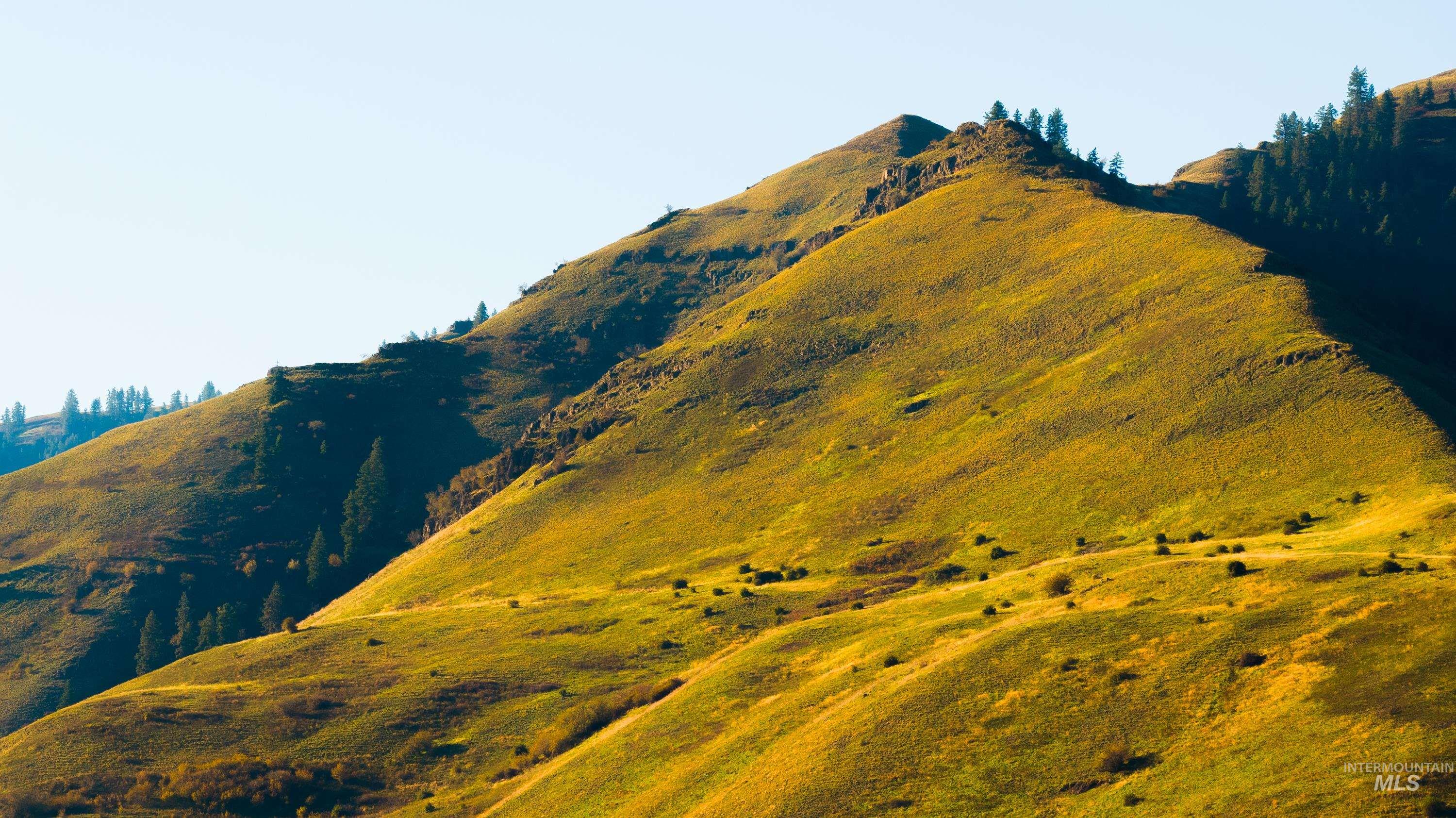 TBD TBD, CottonWood, Idaho 83522, 2 Bedrooms, 2 Bathrooms, Farm & Ranch For Sale, Price $33,000,000,MLS 98964662