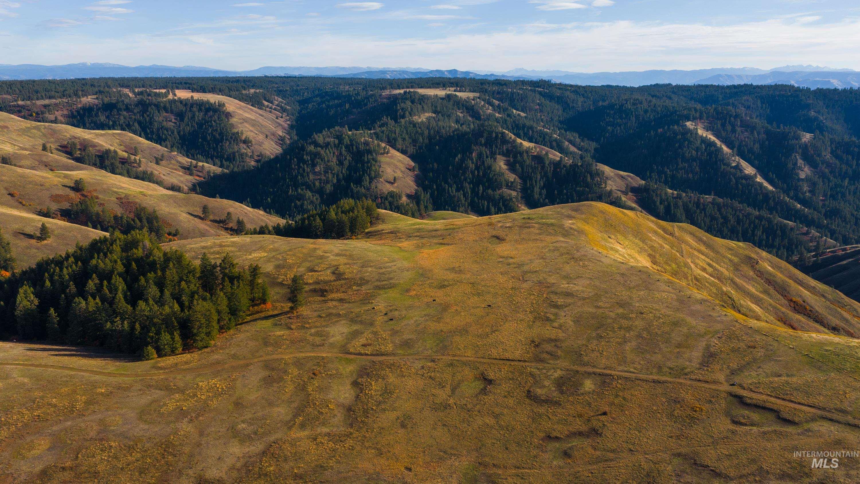 TBD TBD, CottonWood, Idaho 83522, 2 Bedrooms, 2 Bathrooms, Farm & Ranch For Sale, Price $33,000,000,MLS 98964662