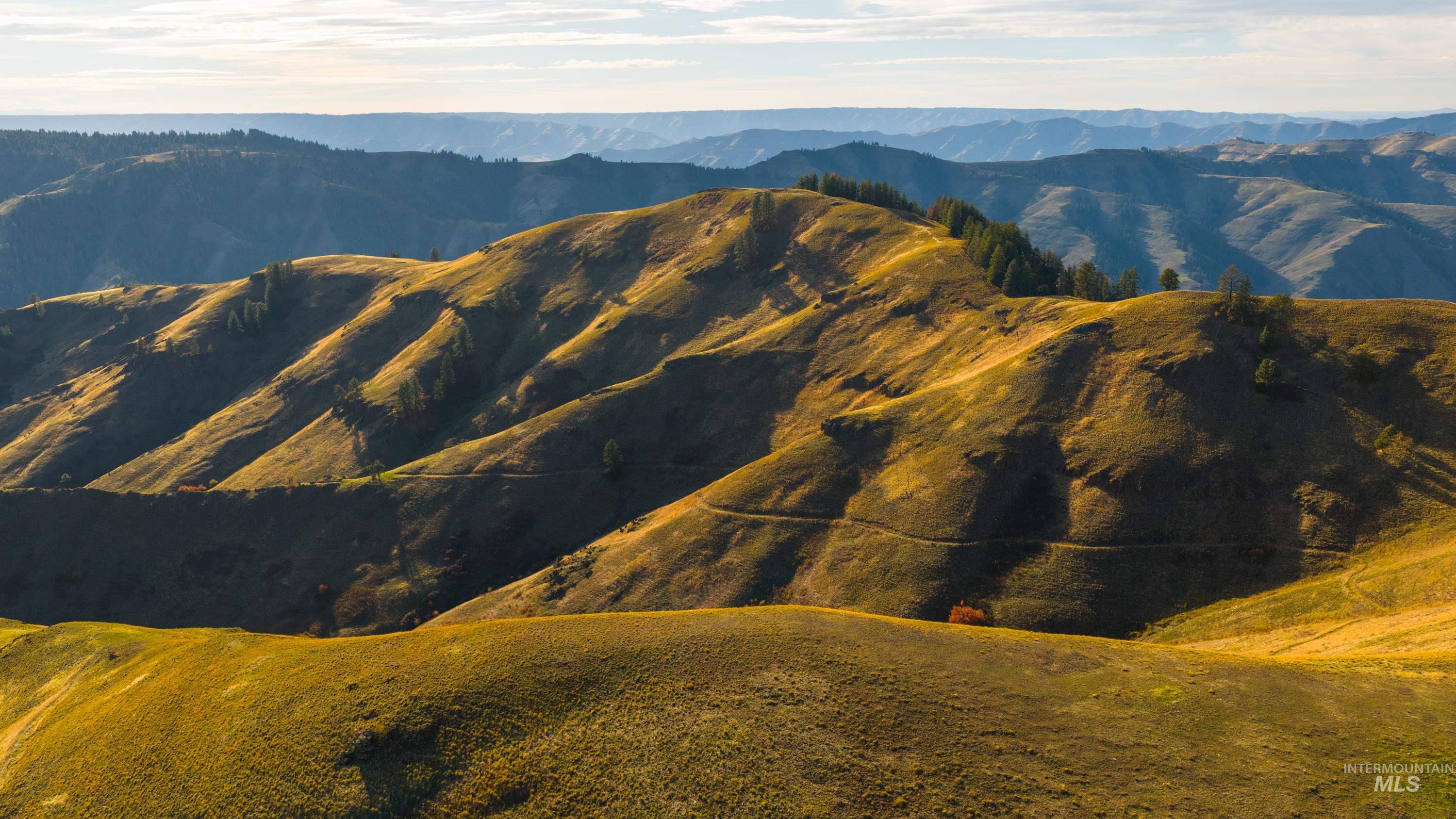 TBD TBD, CottonWood, Idaho 83522, 2 Bedrooms, 2 Bathrooms, Farm & Ranch For Sale, Price $33,000,000,MLS 98964662