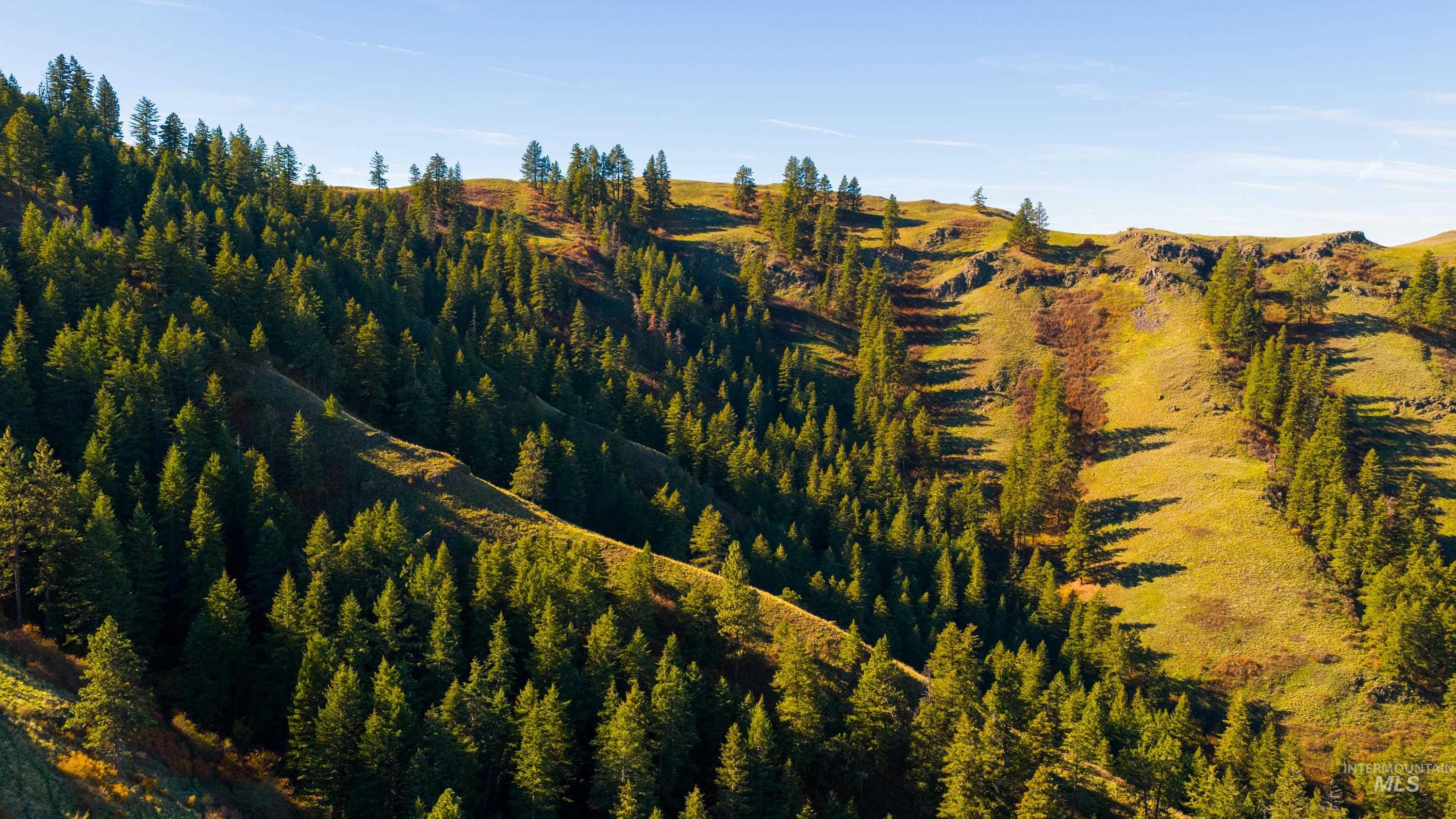 TBD TBD, CottonWood, Idaho 83522, 2 Bedrooms, 2 Bathrooms, Farm & Ranch For Sale, Price $33,000,000,MLS 98964662