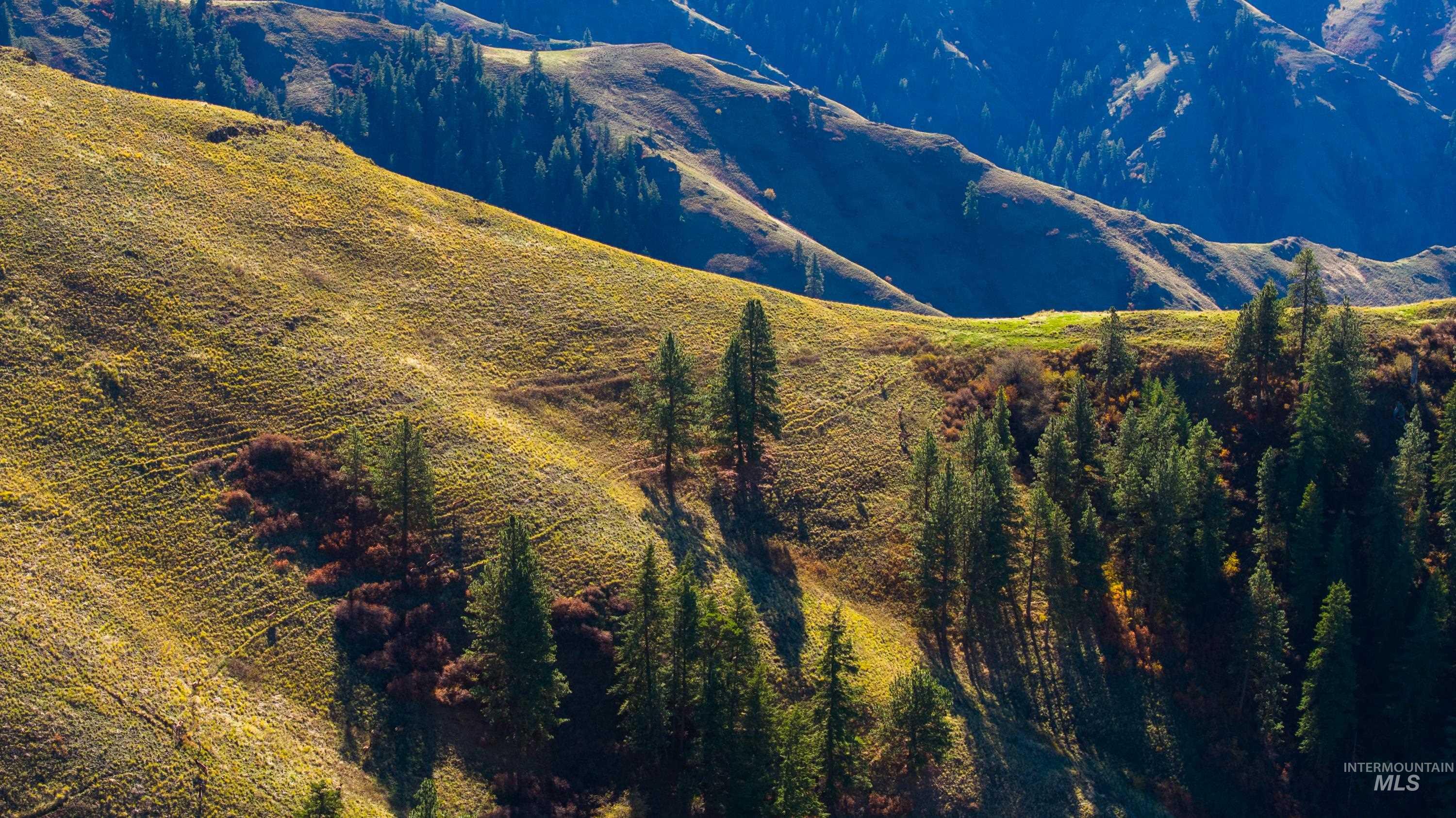 TBD TBD, CottonWood, Idaho 83522, 2 Bedrooms, 2 Bathrooms, Farm & Ranch For Sale, Price $33,000,000,MLS 98964662