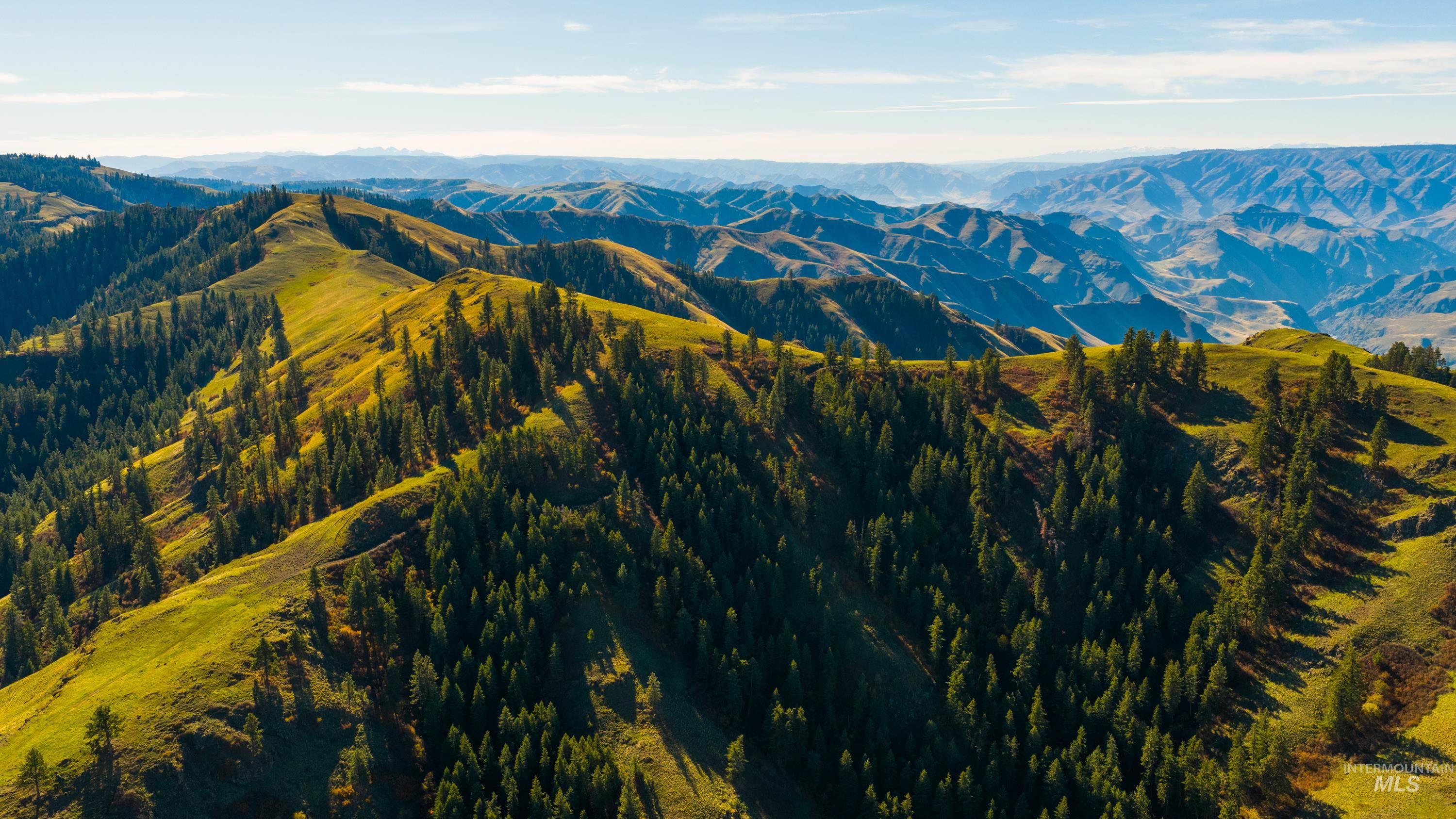 TBD TBD, CottonWood, Idaho 83522, 2 Bedrooms, 2 Bathrooms, Farm & Ranch For Sale, Price $33,000,000,MLS 98964662