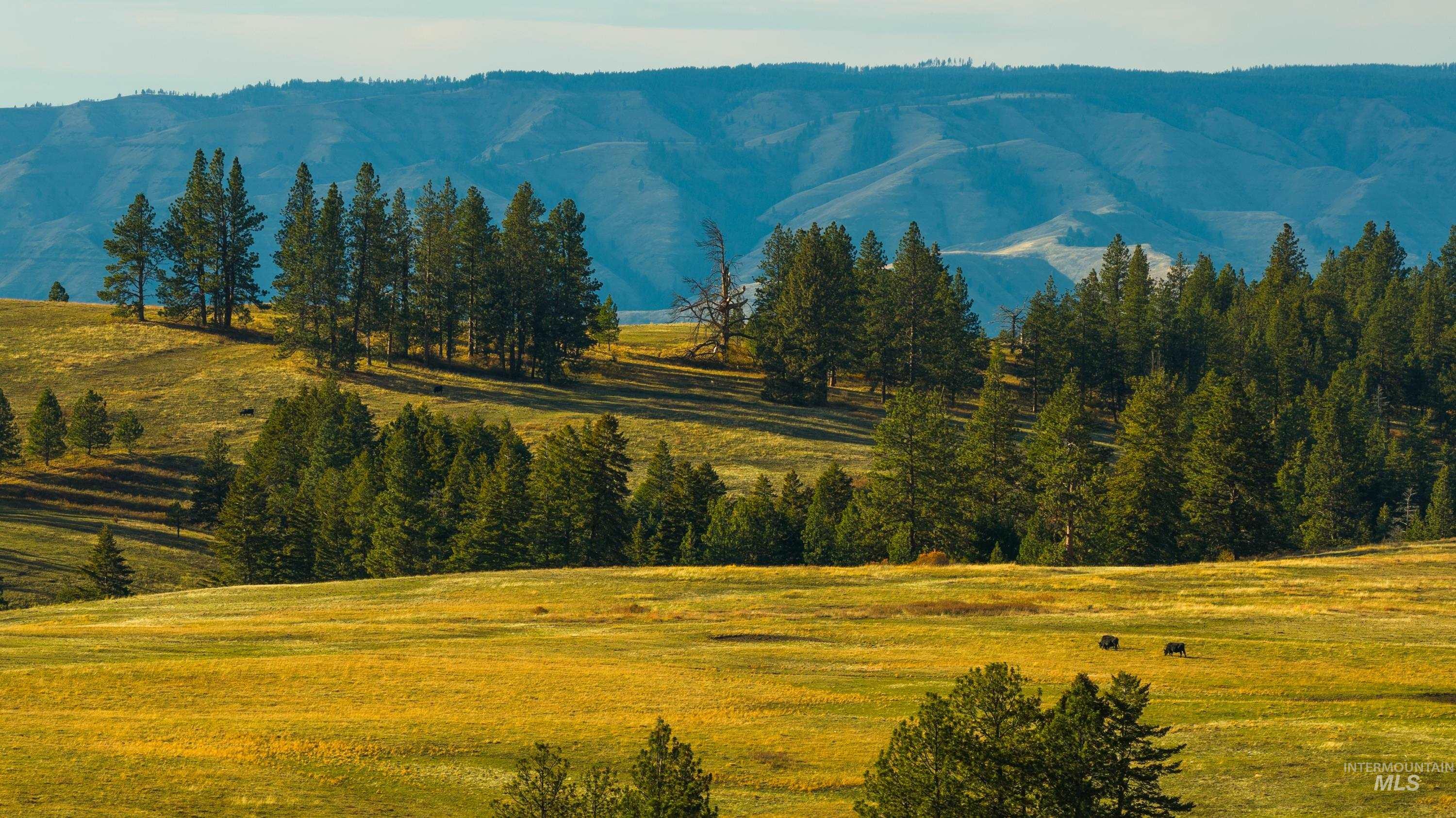 TBD TBD, CottonWood, Idaho 83522, 2 Bedrooms, 2 Bathrooms, Farm & Ranch For Sale, Price $33,000,000,MLS 98964662