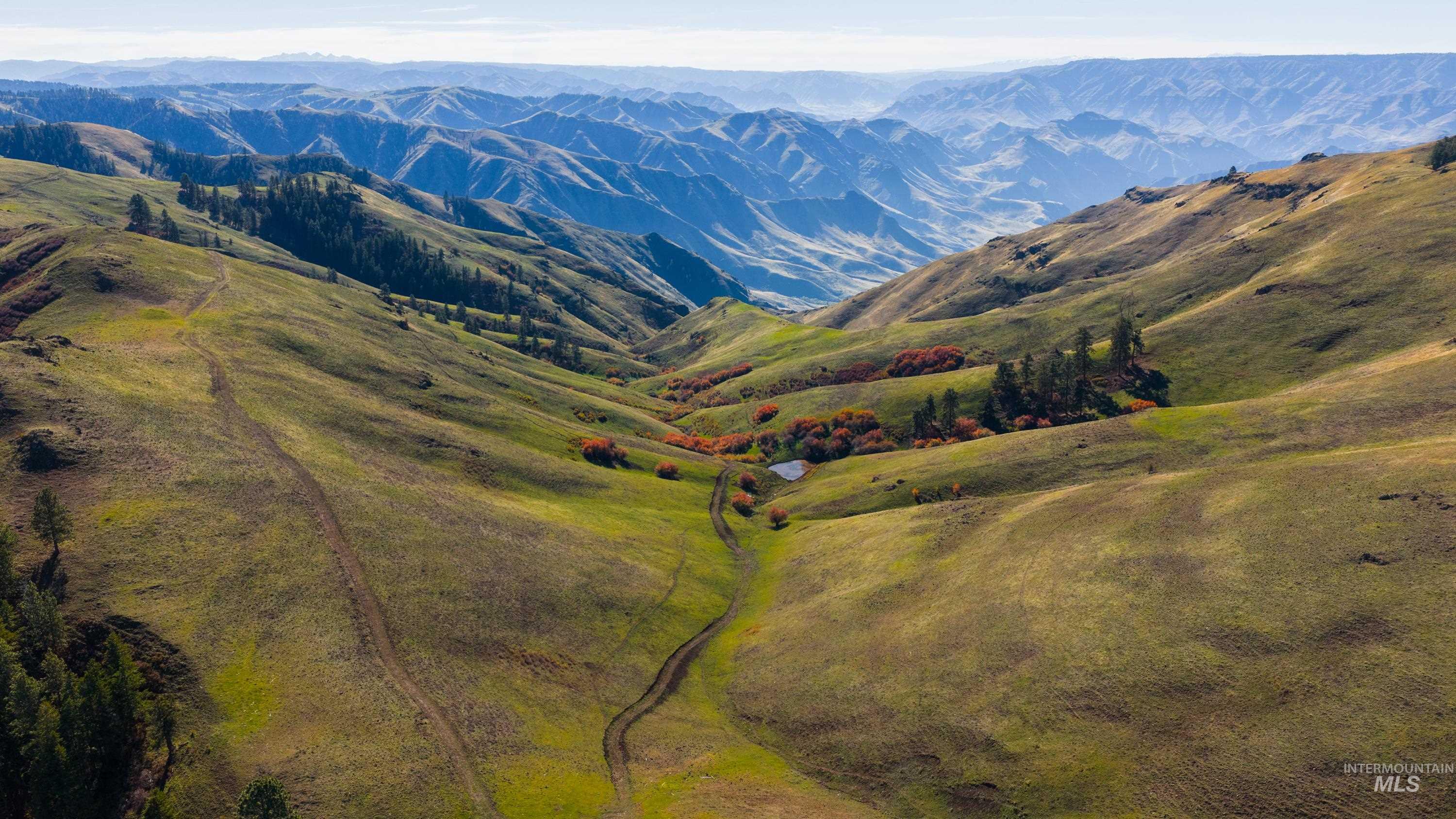 TBD TBD, CottonWood, Idaho 83522, 2 Bedrooms, 2 Bathrooms, Farm & Ranch For Sale, Price $33,000,000,MLS 98964662