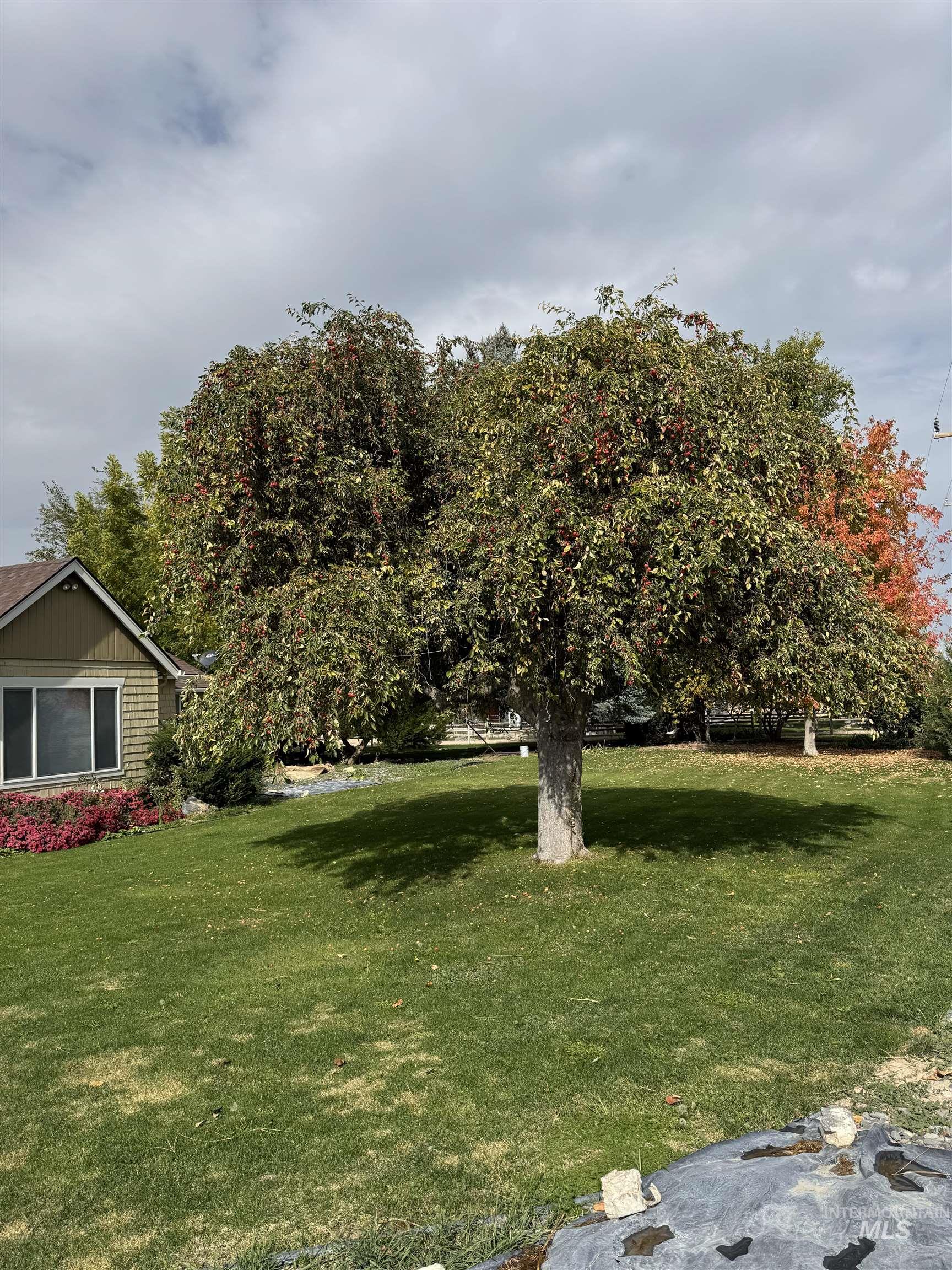 9101 S Powerline, Nampa, Idaho 83686, 4 Bedrooms, 3 Bathrooms, Residential For Sale, Price $590,000, 98964663