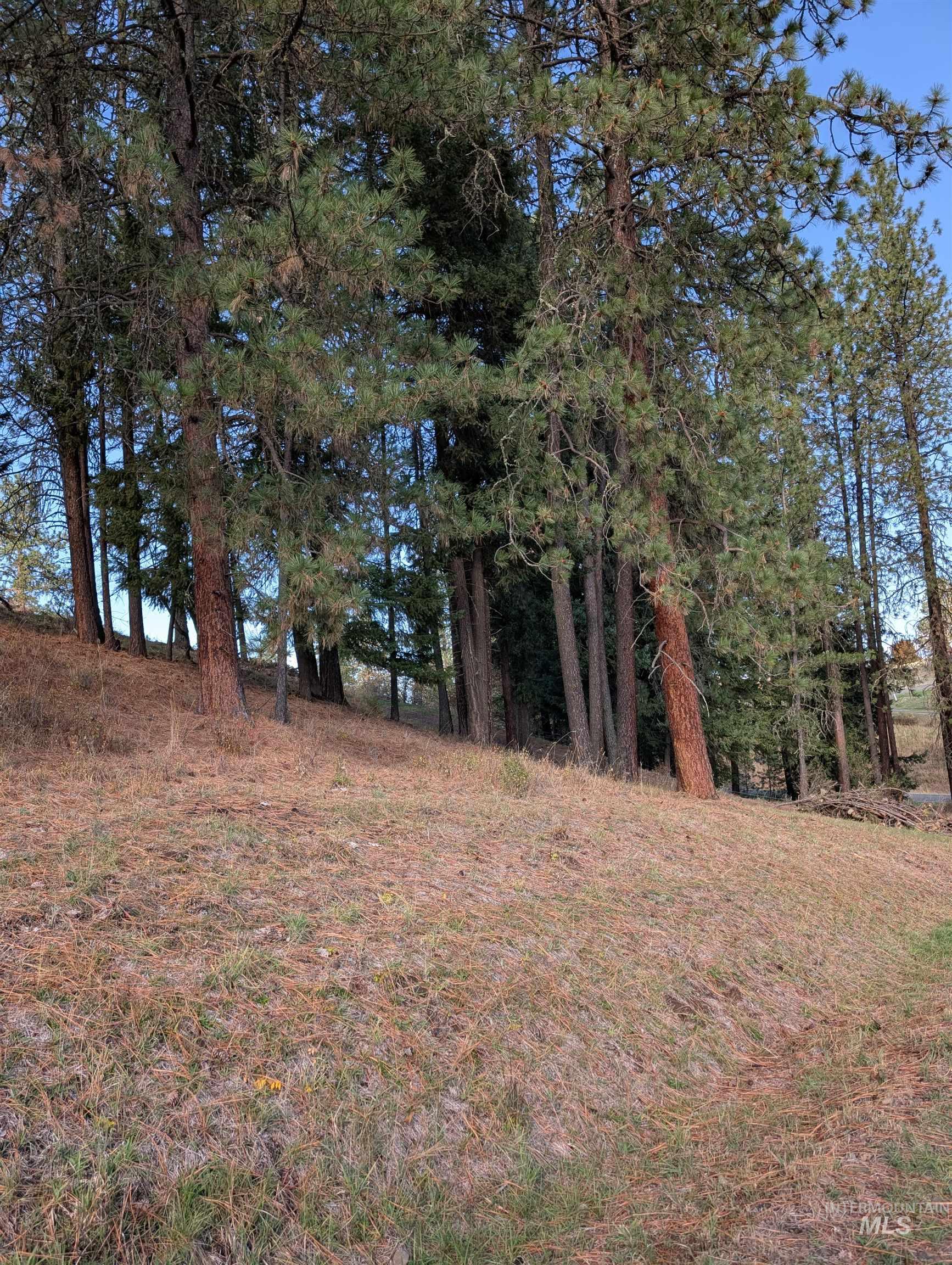784 Leitch Creek Road, Kooskia, Idaho 83539, Land For Sale, Price $350,000,MLS 98964678