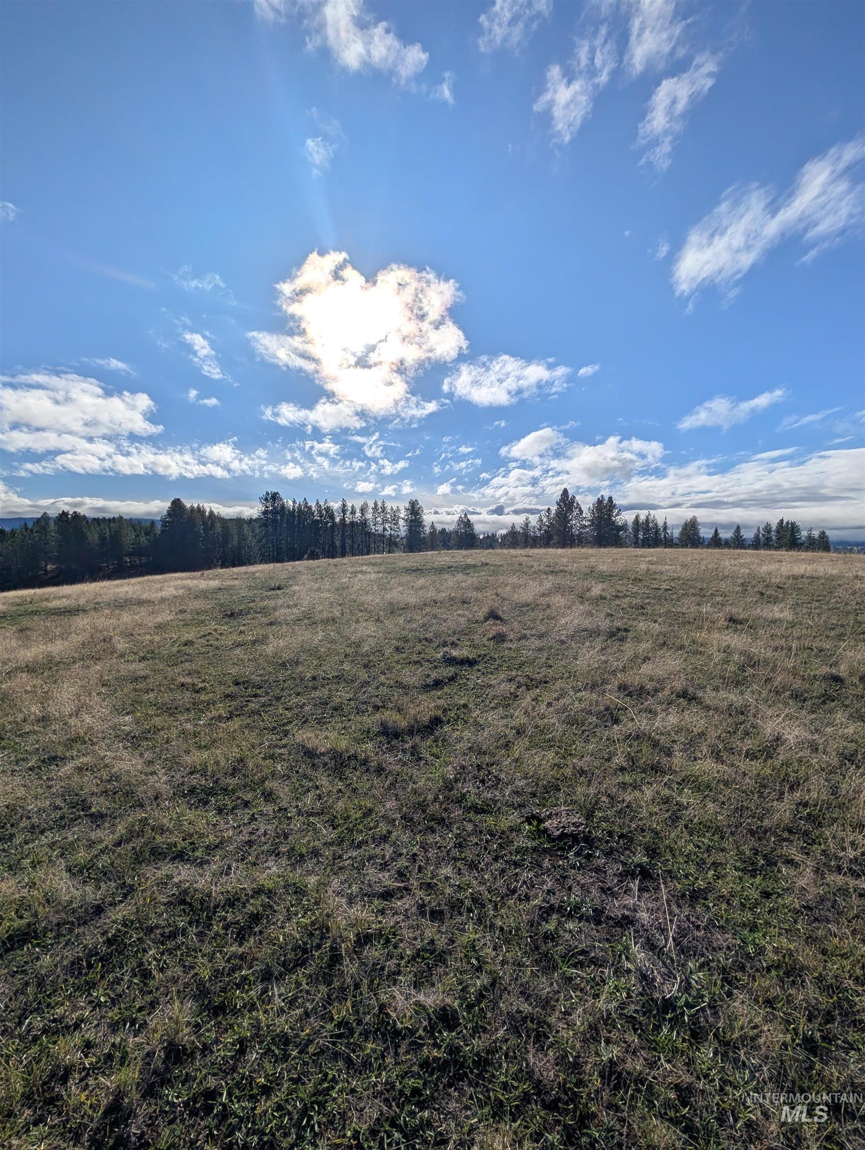 784 Leitch Creek Road, Kooskia, Idaho 83539, Land For Sale, Price $350,000,MLS 98964678