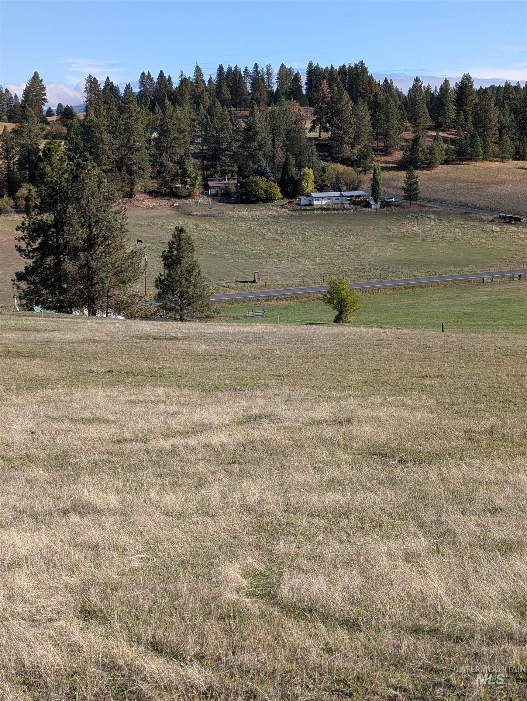 784 Leitch Creek Road, Kooskia, Idaho 83539, Land For Sale, Price $350,000,MLS 98964678