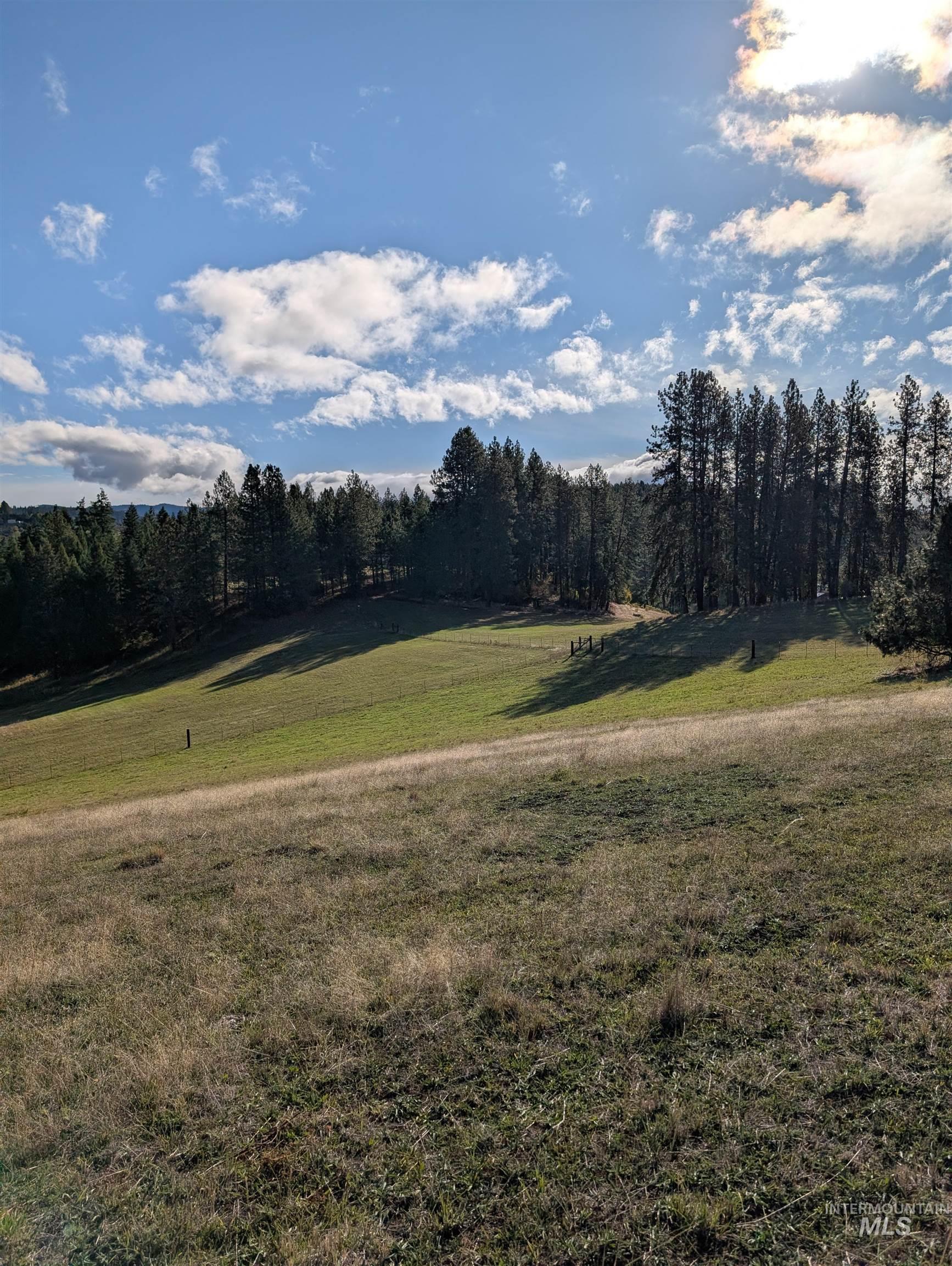 784 Leitch Creek Road, Kooskia, Idaho 83539, Land For Sale, Price $350,000,MLS 98964678