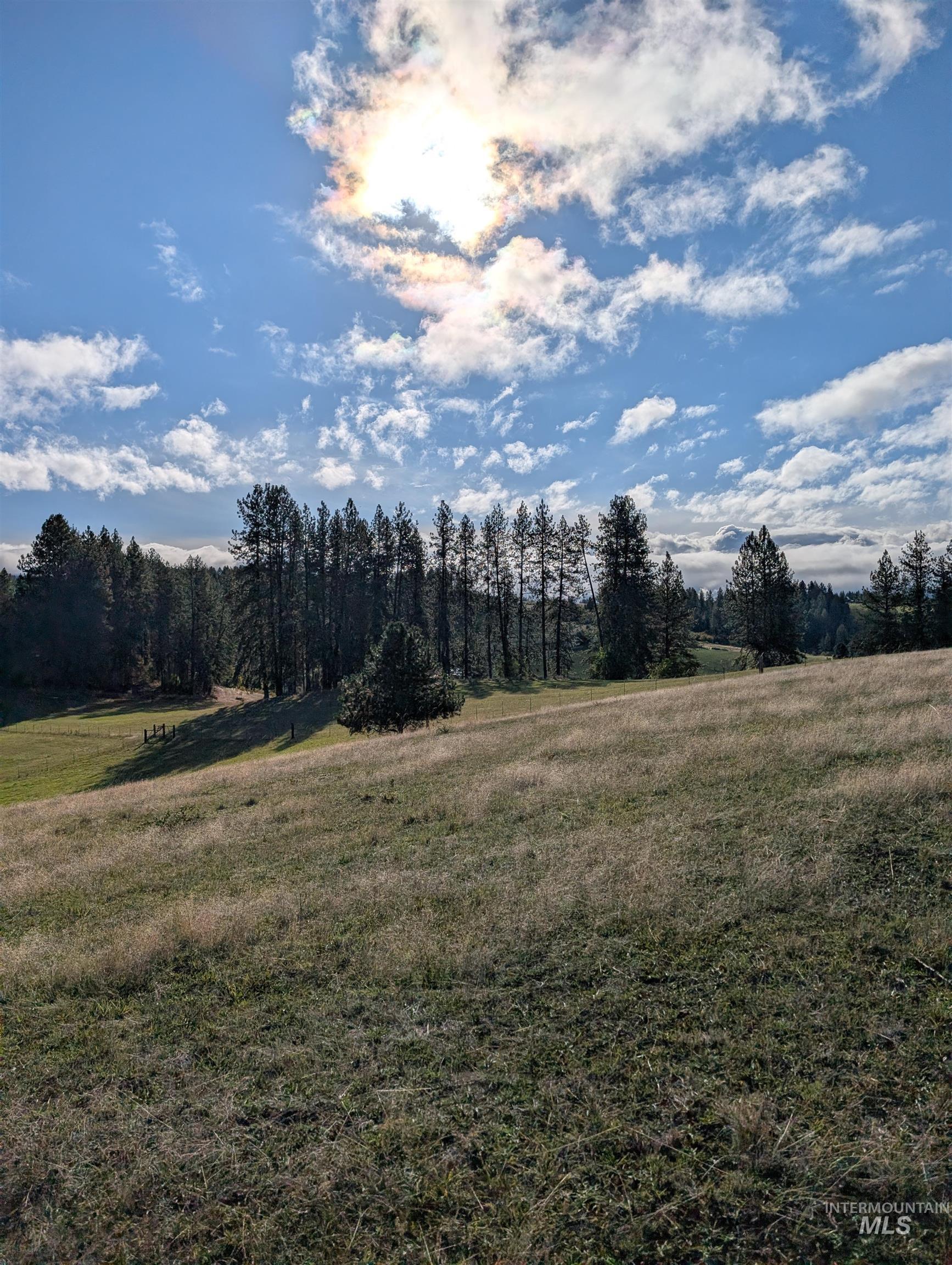 784 Leitch Creek Road, Kooskia, Idaho 83539, Land For Sale, Price $350,000,MLS 98964678