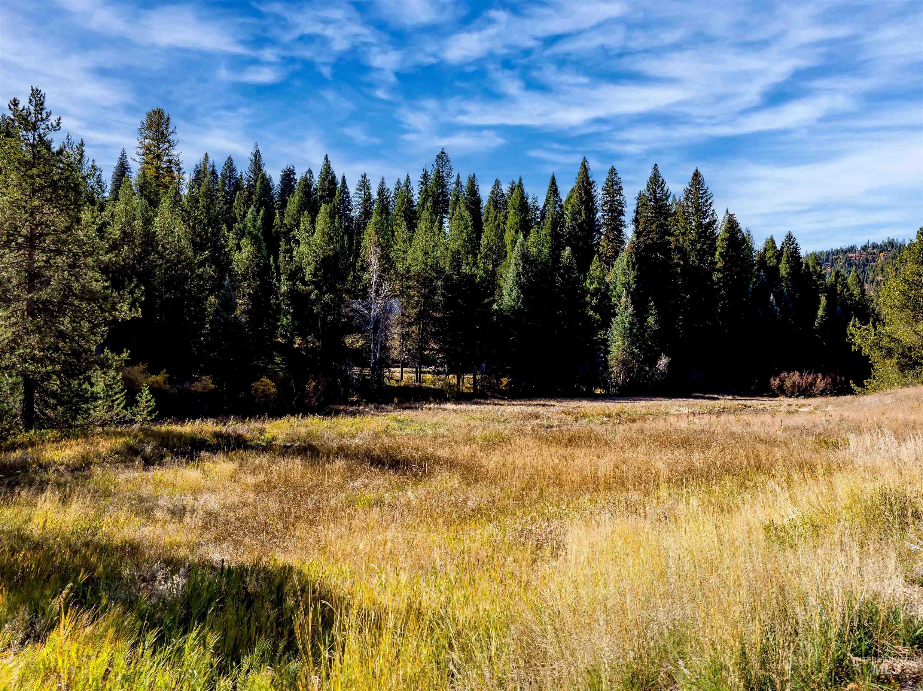 201 Tripod View, Cascade, Idaho 83611, Land For Sale, Price $499,000,MLS 98964686